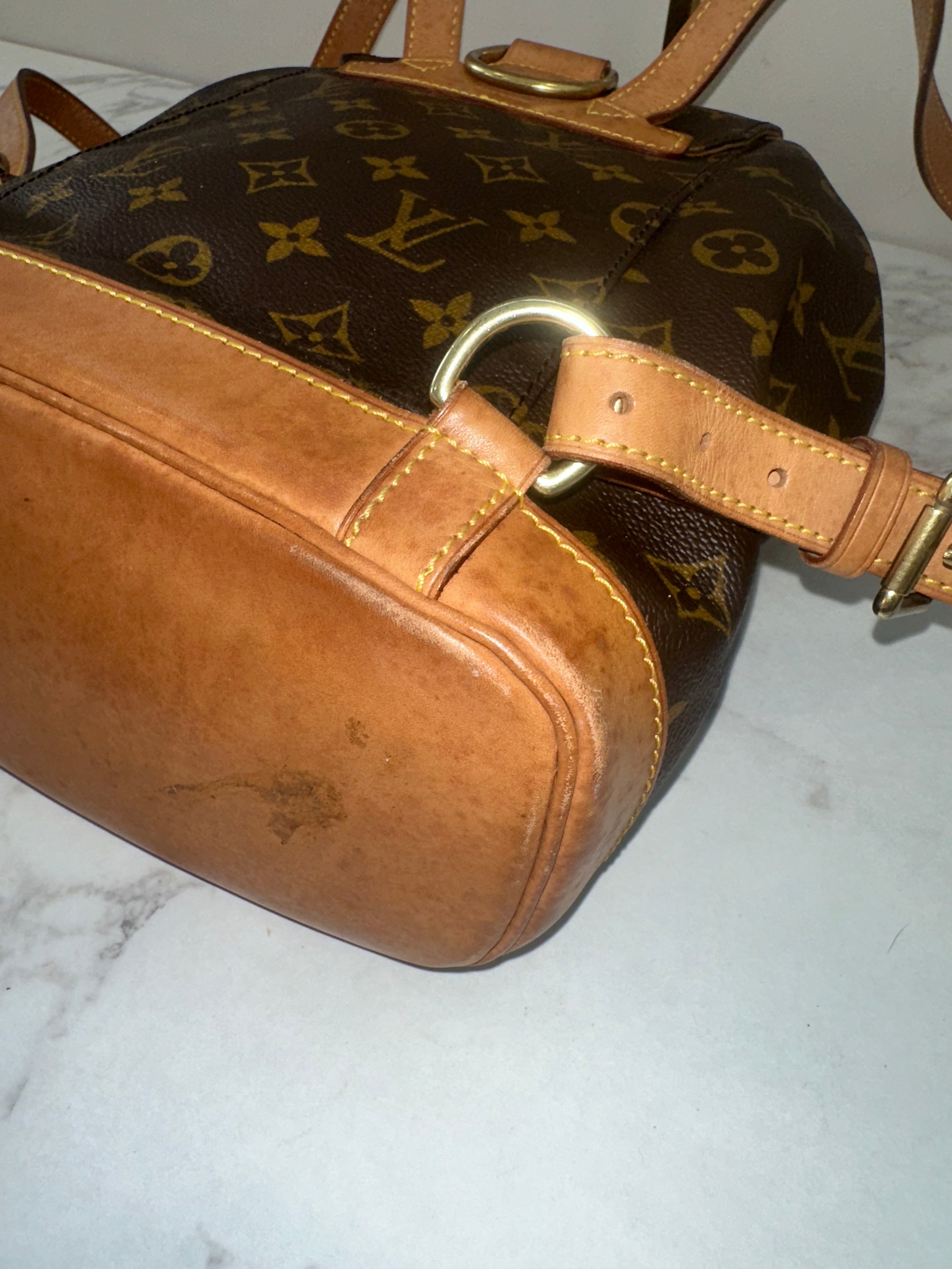 Louis Vuitton Montsouris mm