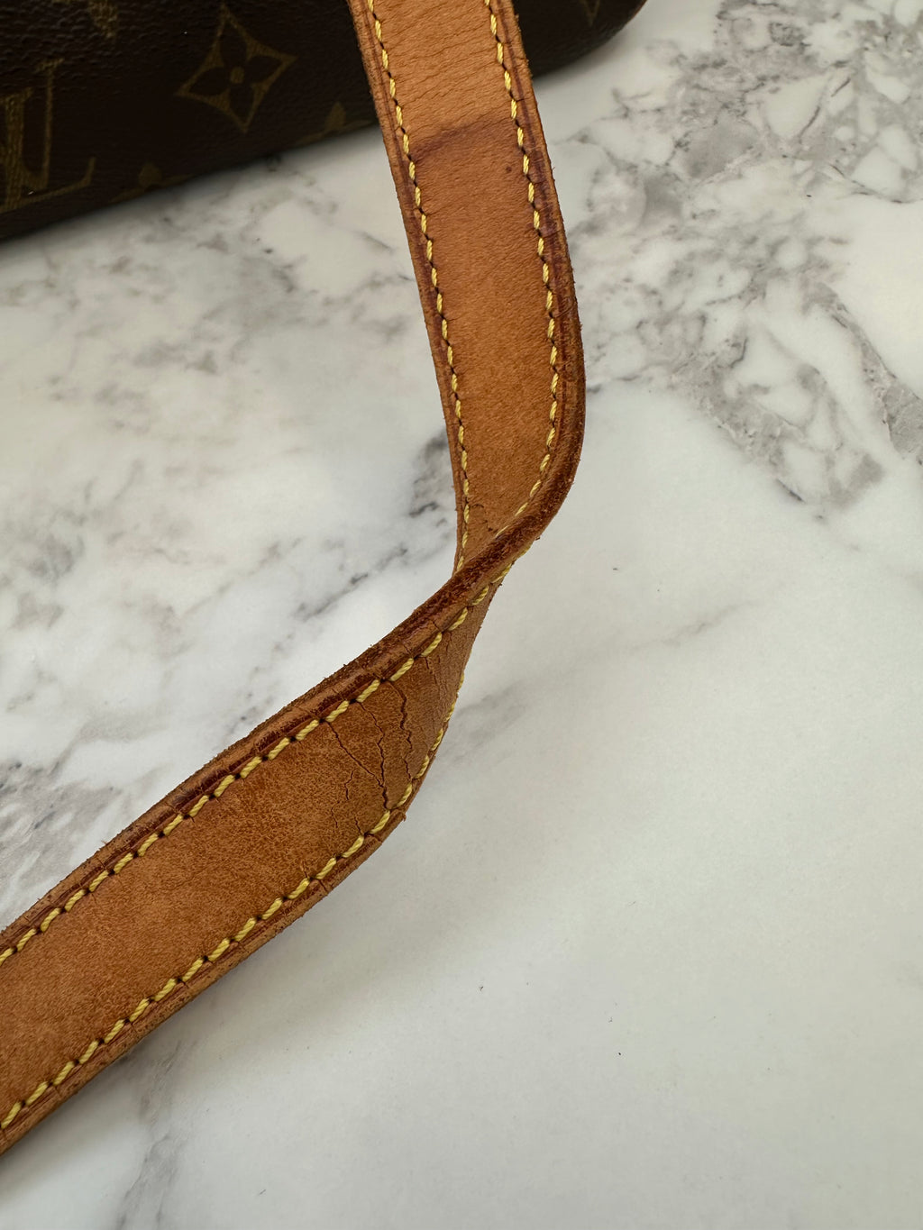 Louis Vuitton Cite GM