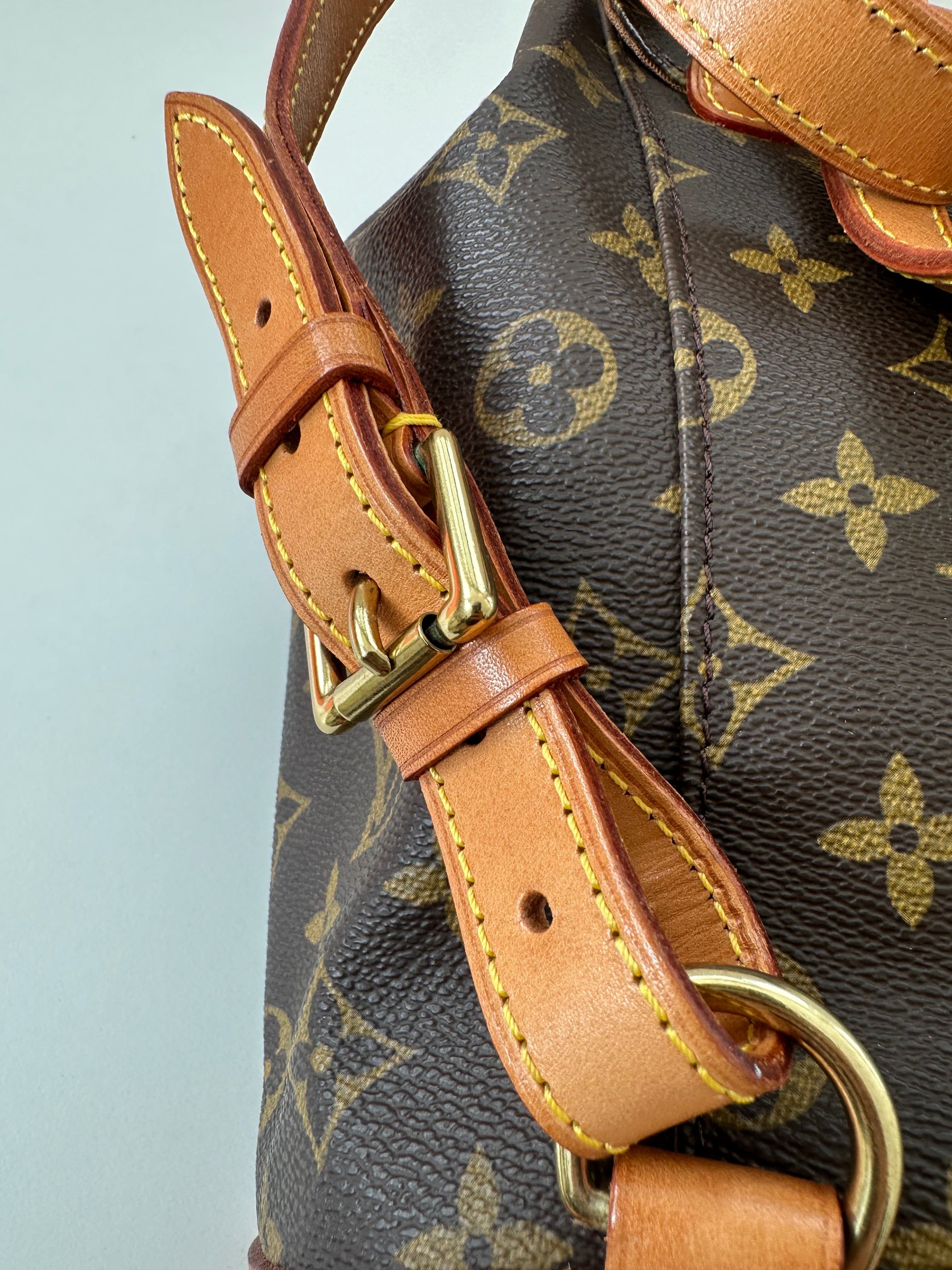 Louis Vuitton Montsouris MM