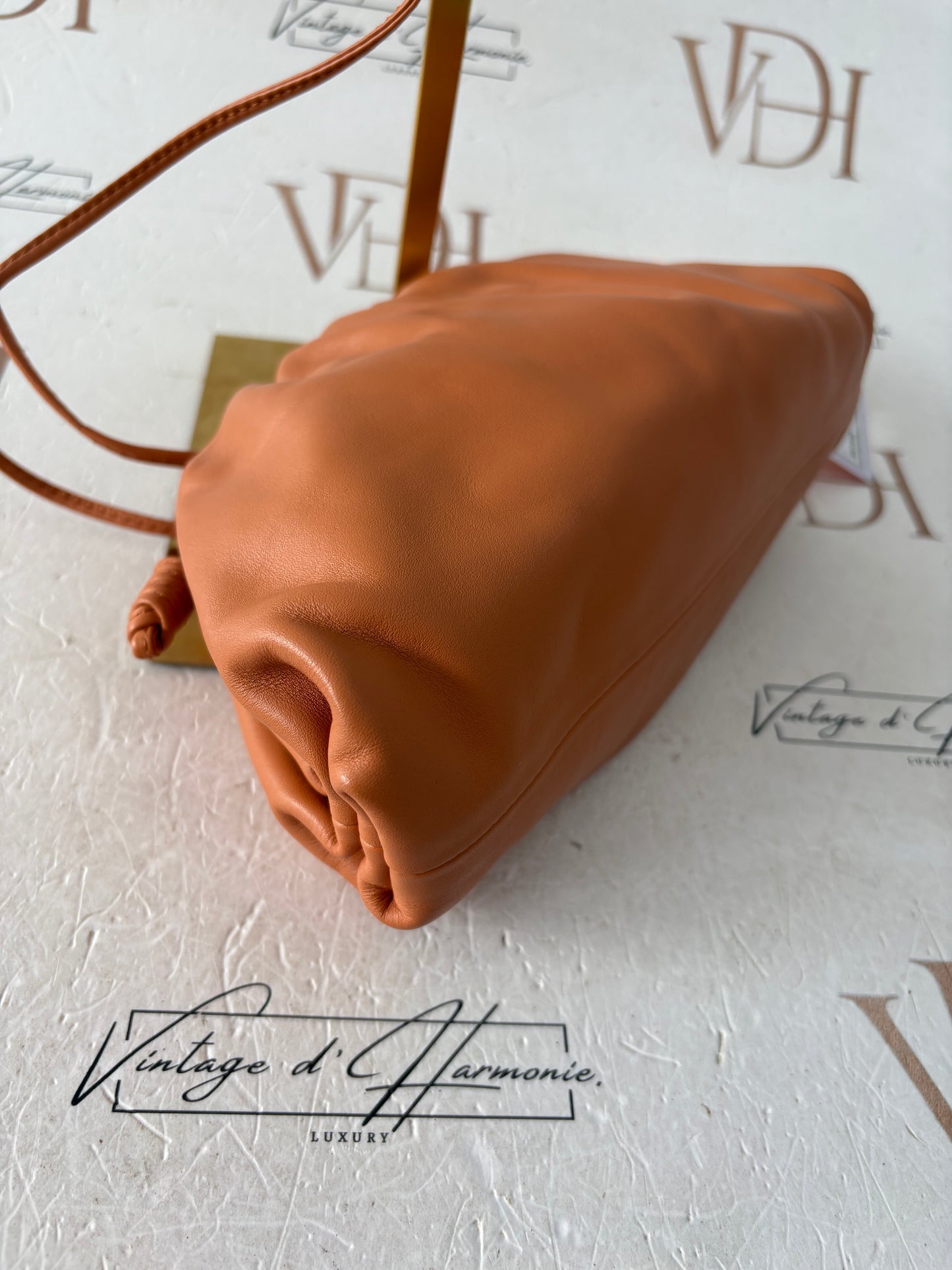 201526 - Bottega Veneta The Pouch