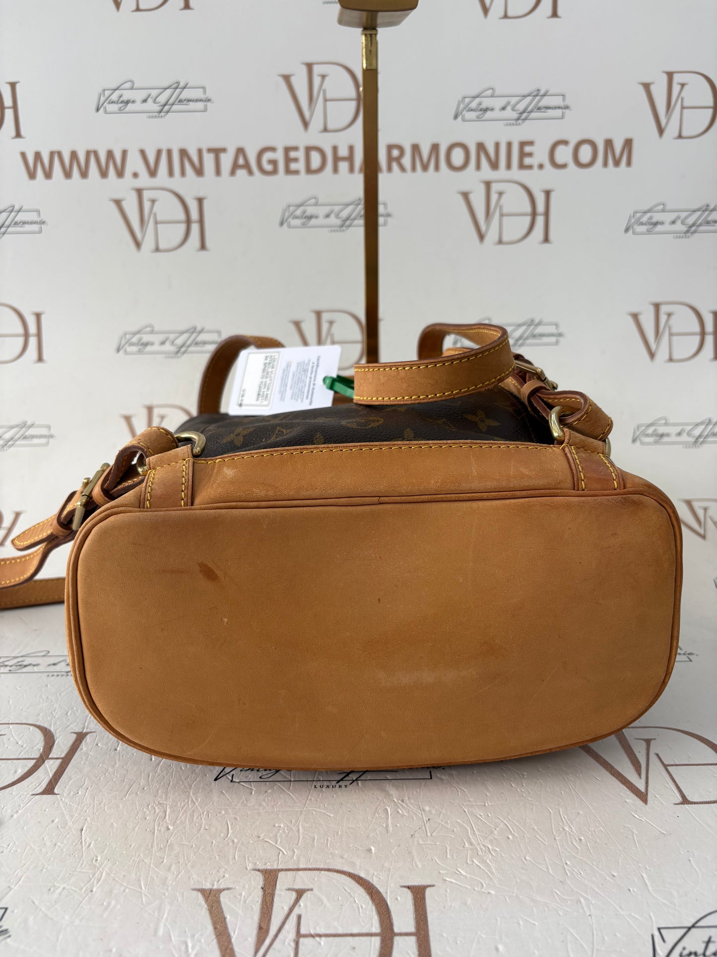 017173 - Louis Vuitton Montsouris MM