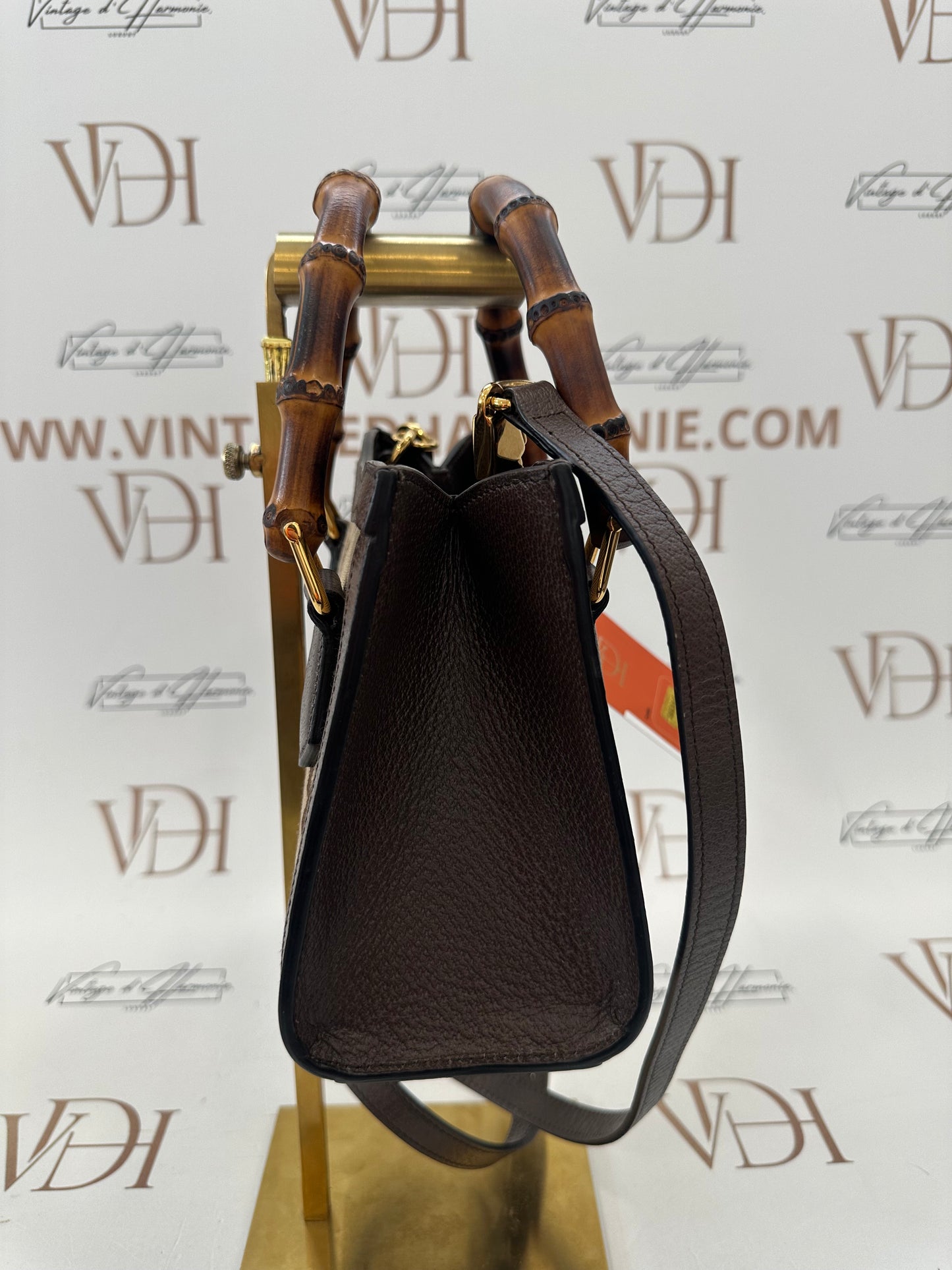 382555 - Gucci Diana