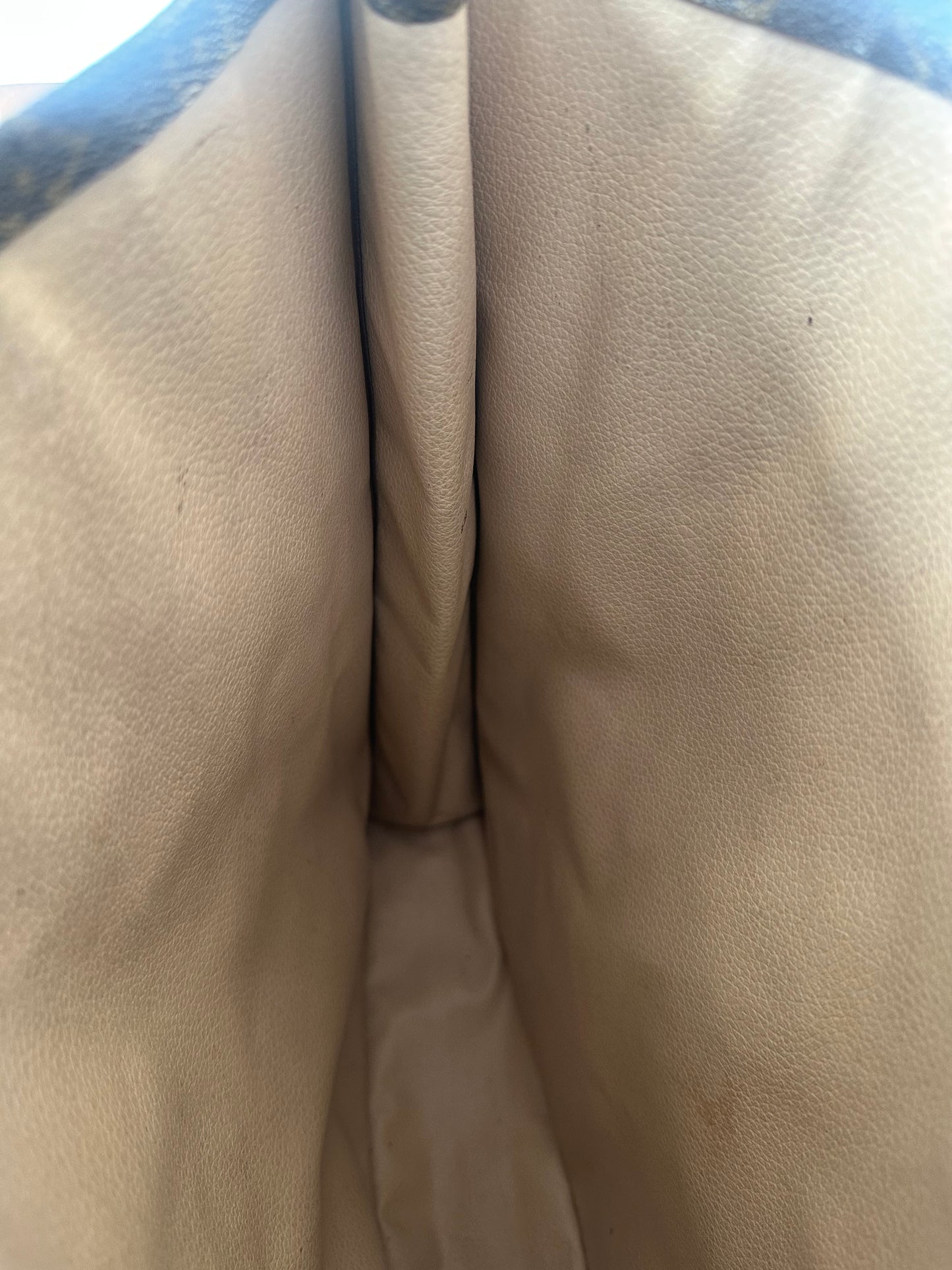 Louis Vuitton Sac Plat