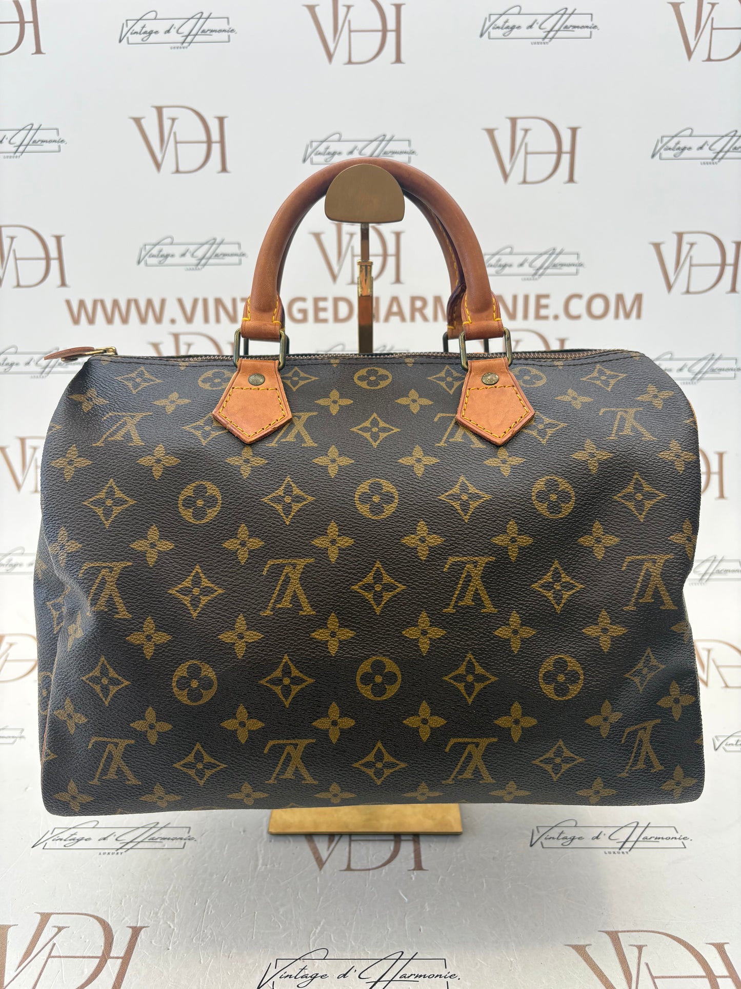 018907 - Louis Vuitton Speedy 30