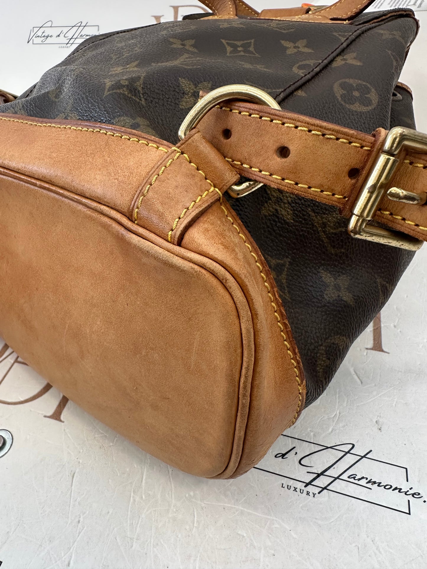 017912 - Louis Vuitton Montsouris MM