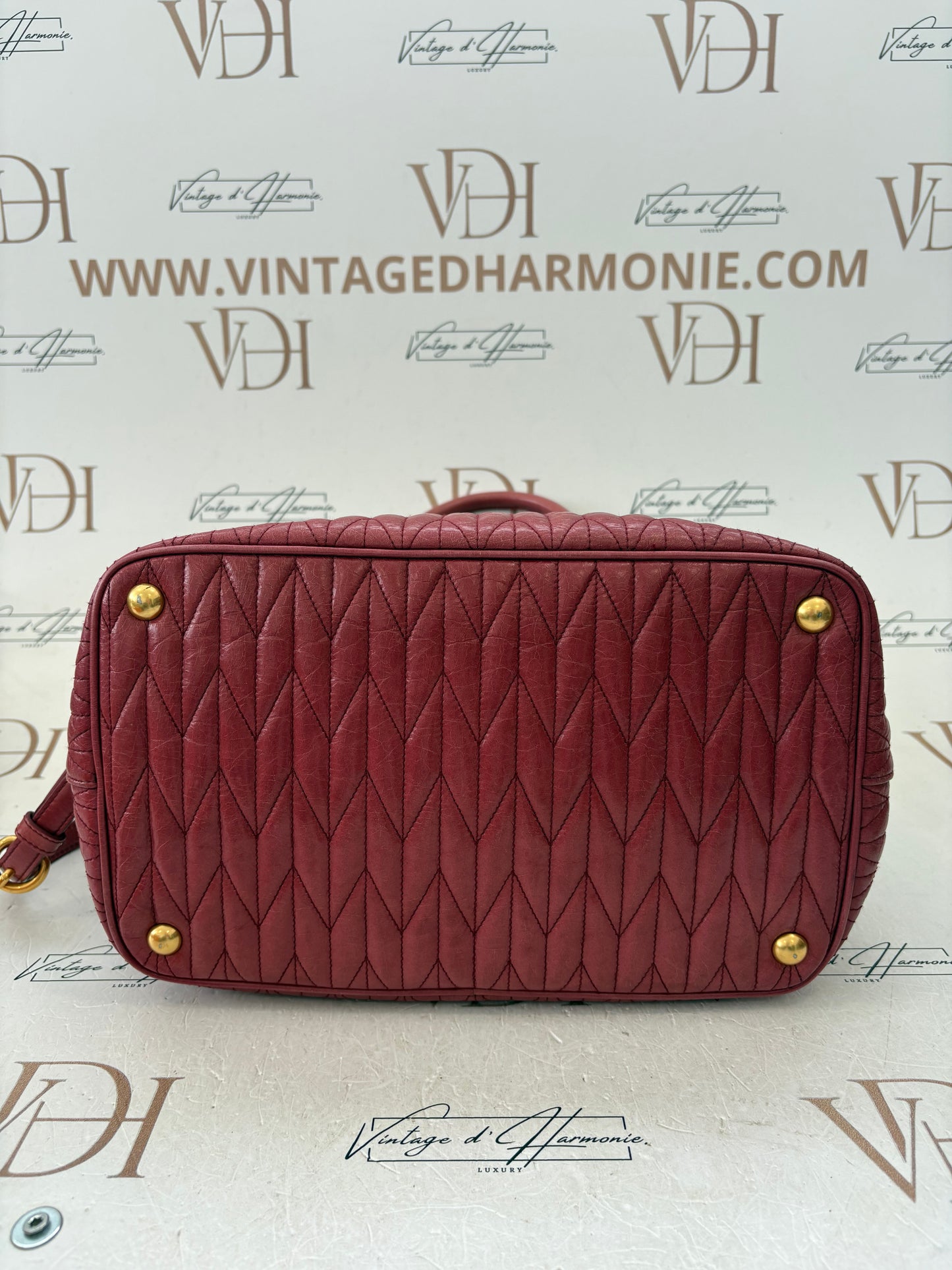 383329 - Miu Miu