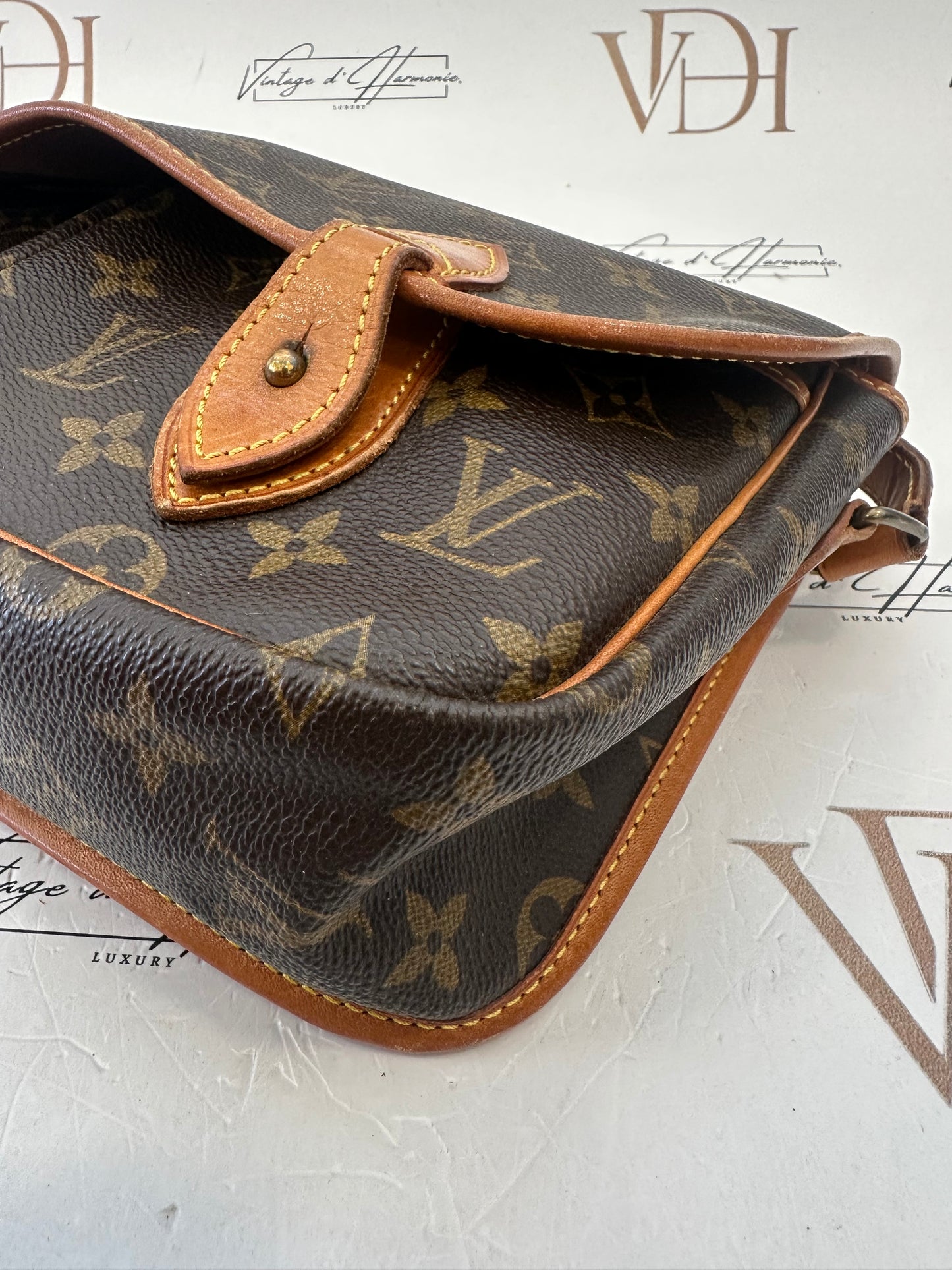 017830 - Louis Vuitton Gibeciere MM