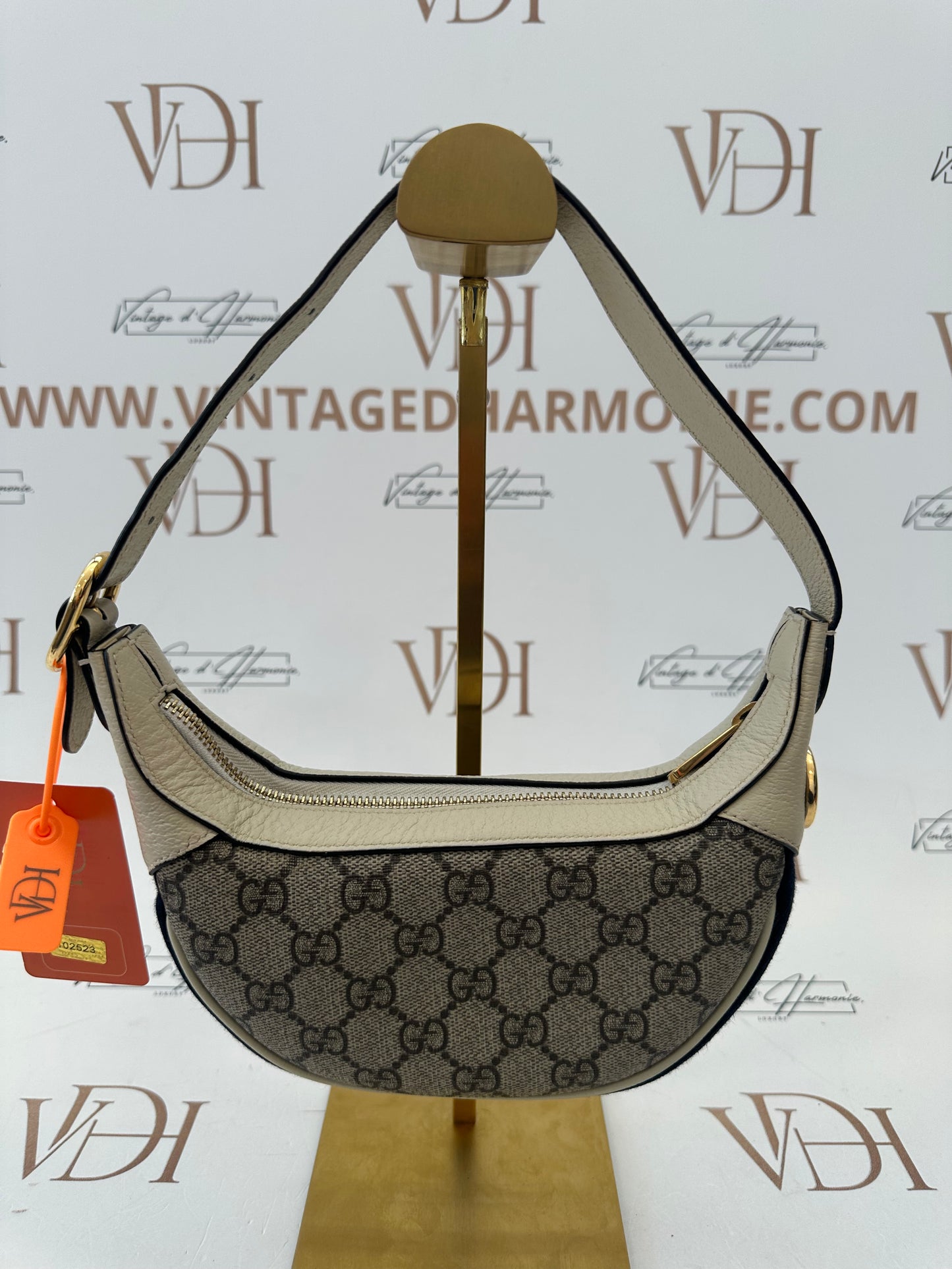 102523 - Gucci Ophidia
