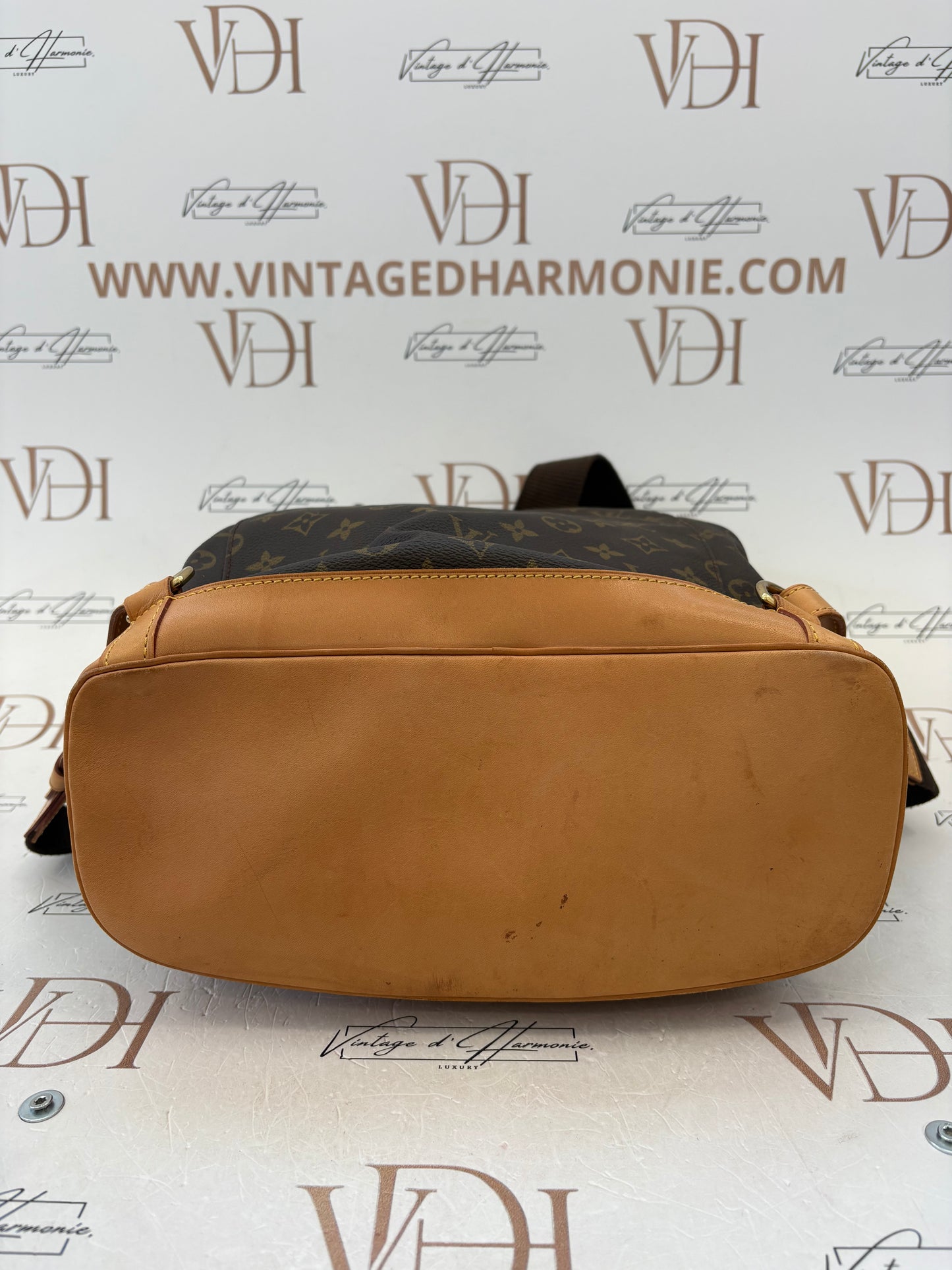 016952 - Louis Vuitton Montsouris GM