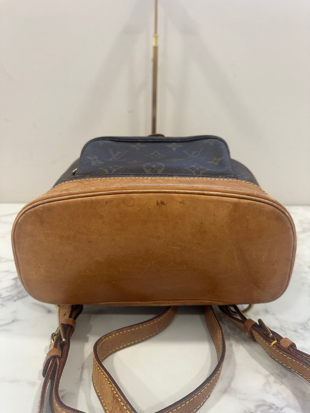 Louis Vuitton Montsouris MM