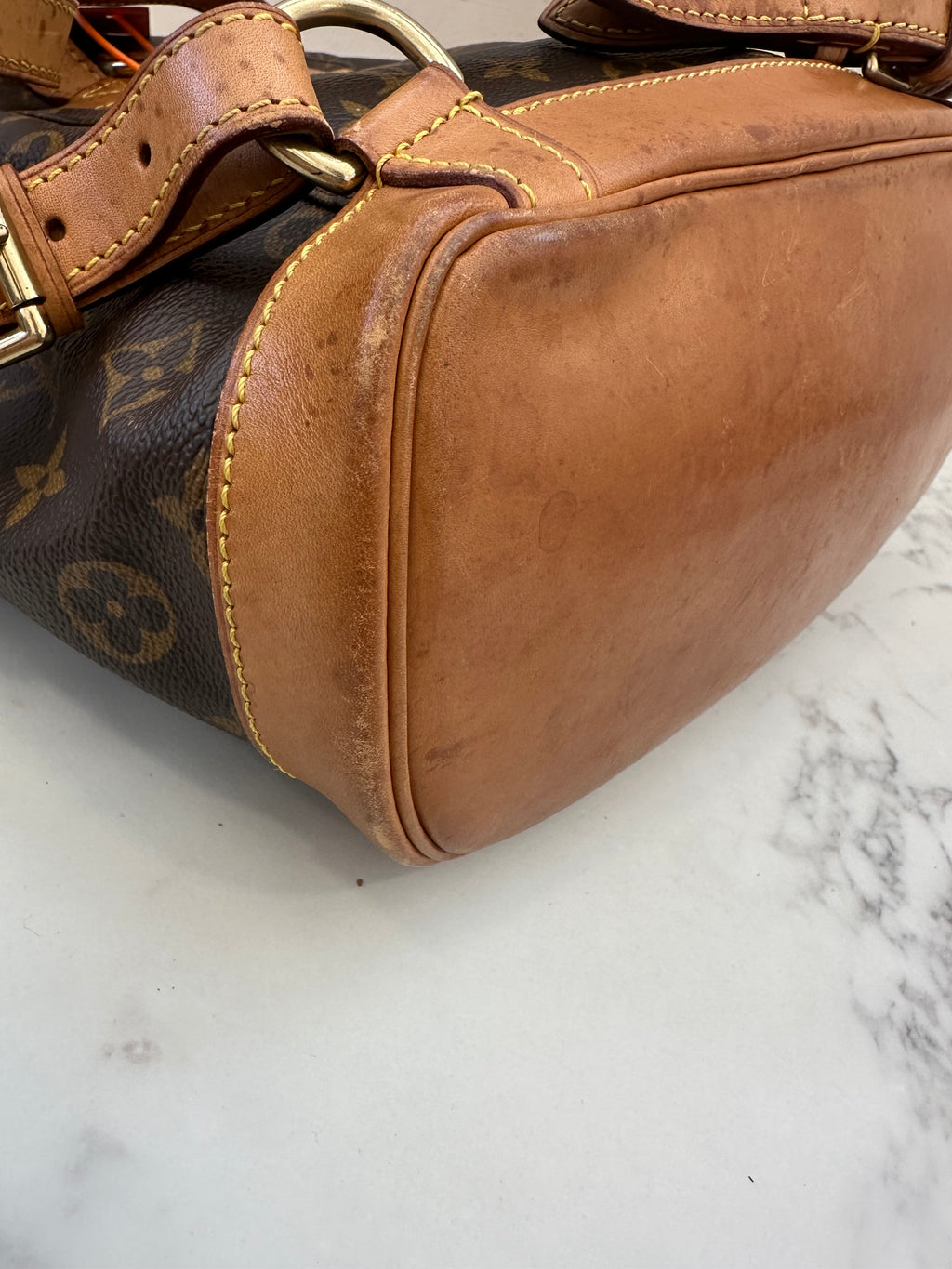 Louis Vuitton Montsouris MM