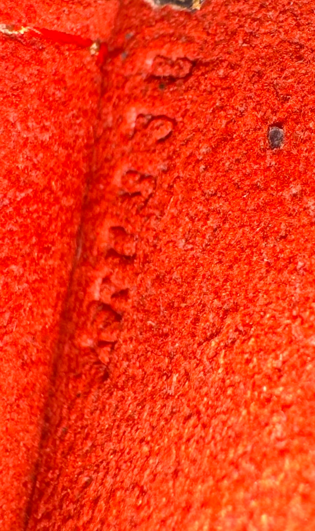 Louis Vuitton Damier Marais