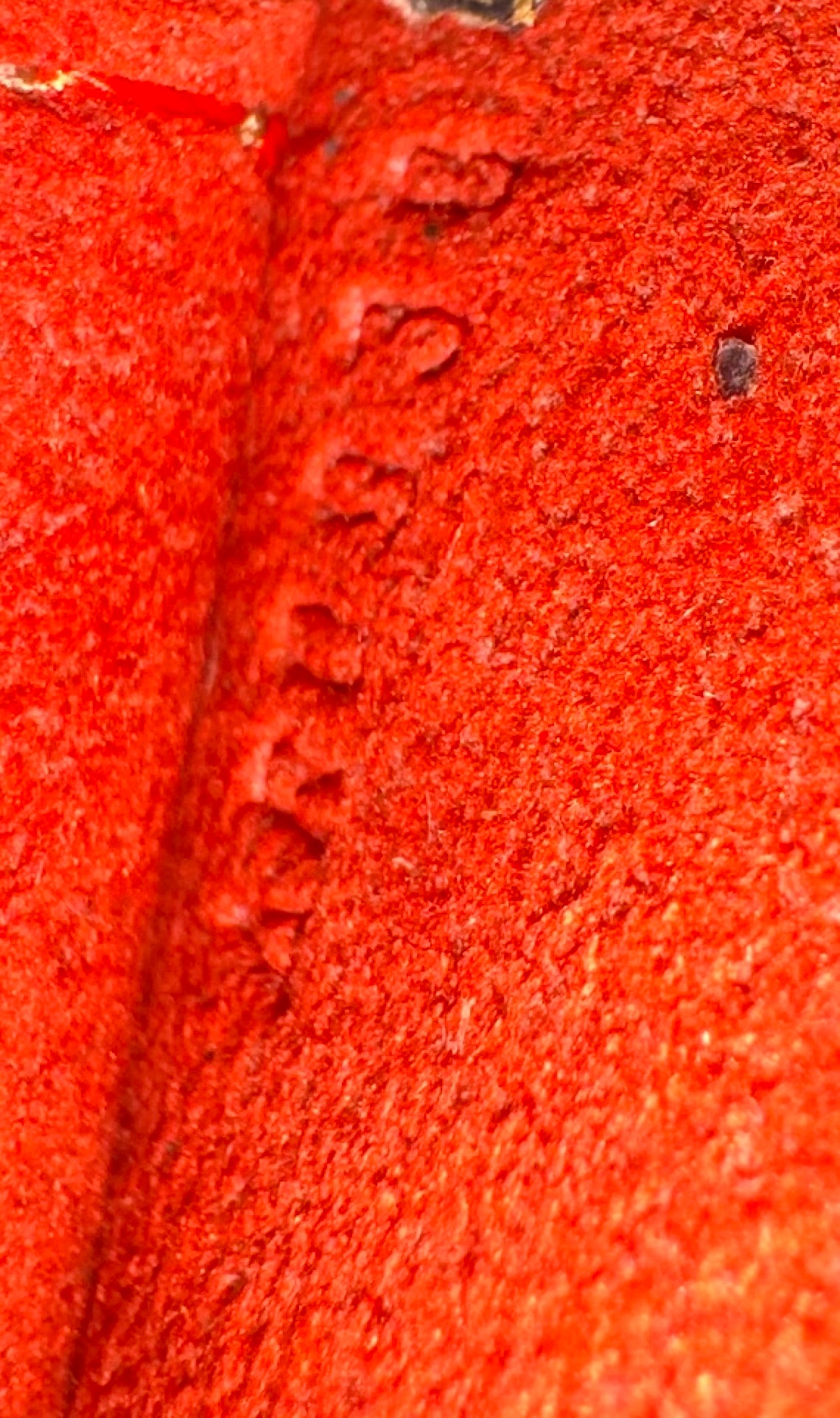 Louis Vuitton Damier Marais