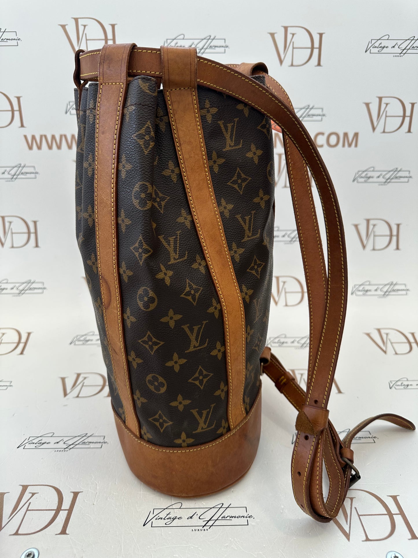 017769 - Louis Vuitton Randonne PM