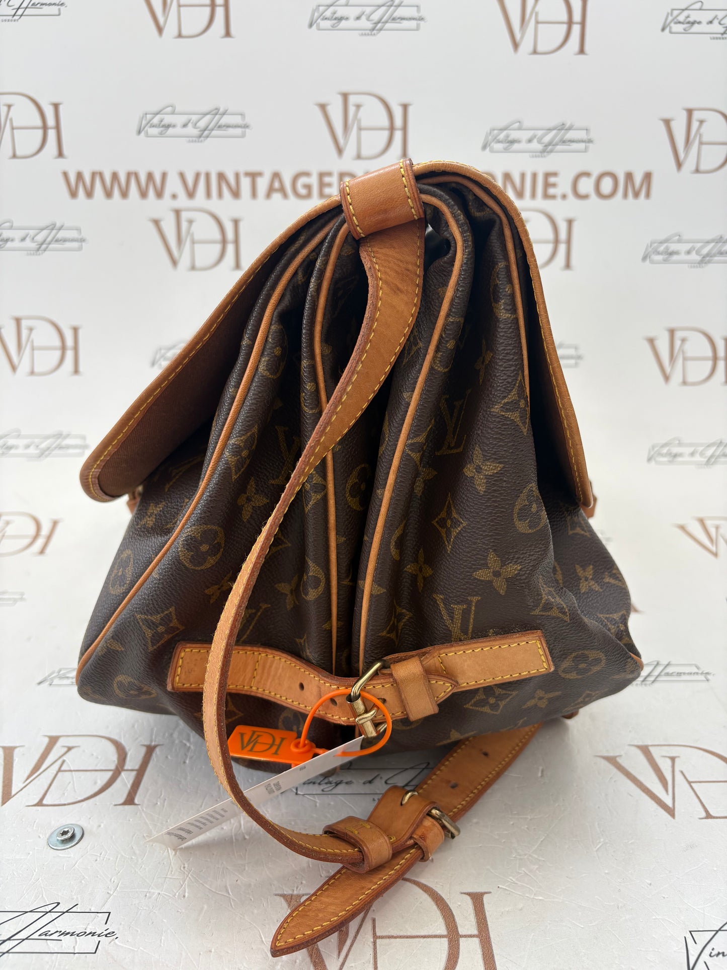 019002 - Louis Vuitton Saumur 35