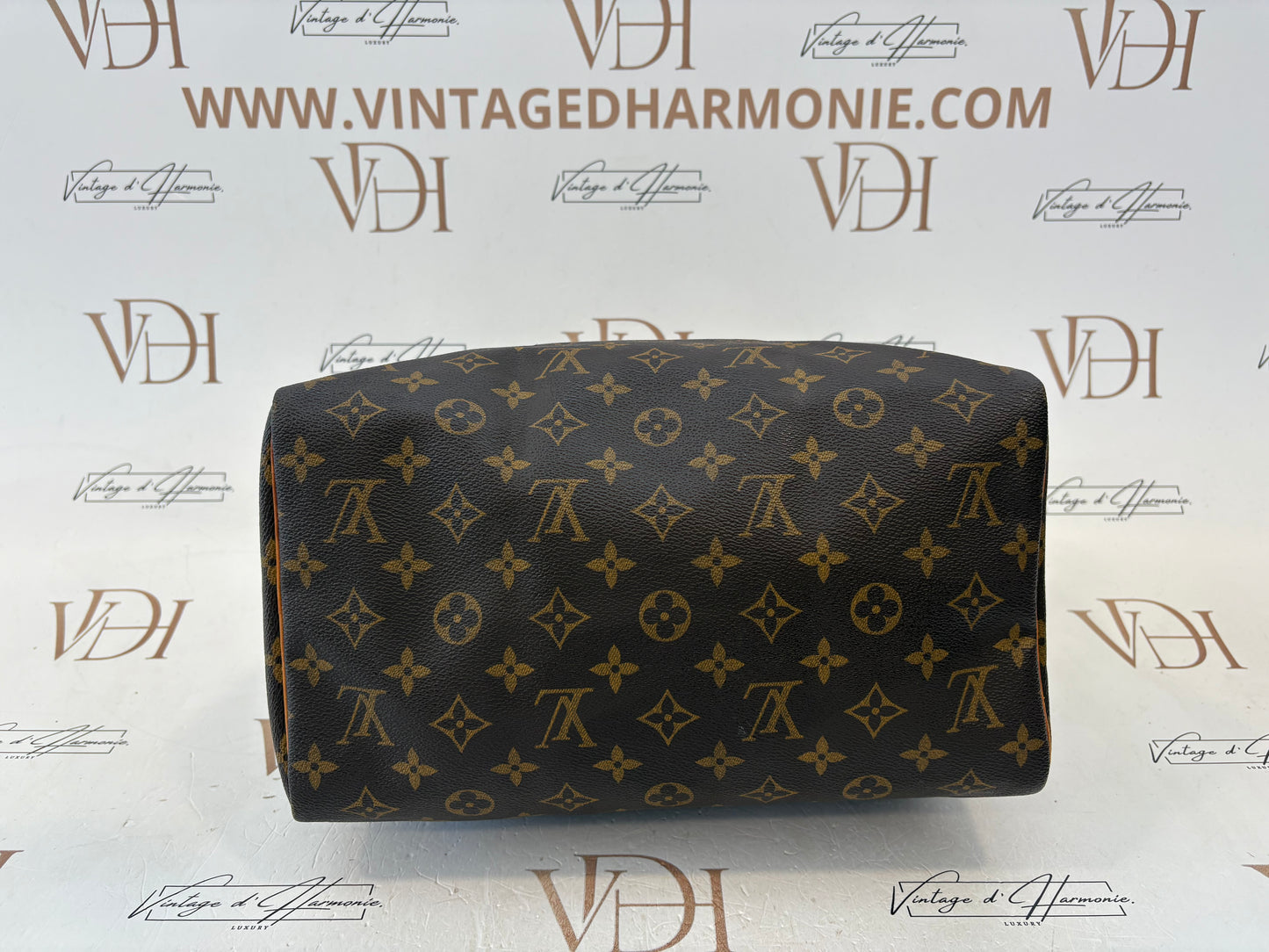 018559 - Louis Vuitton Speedy 30