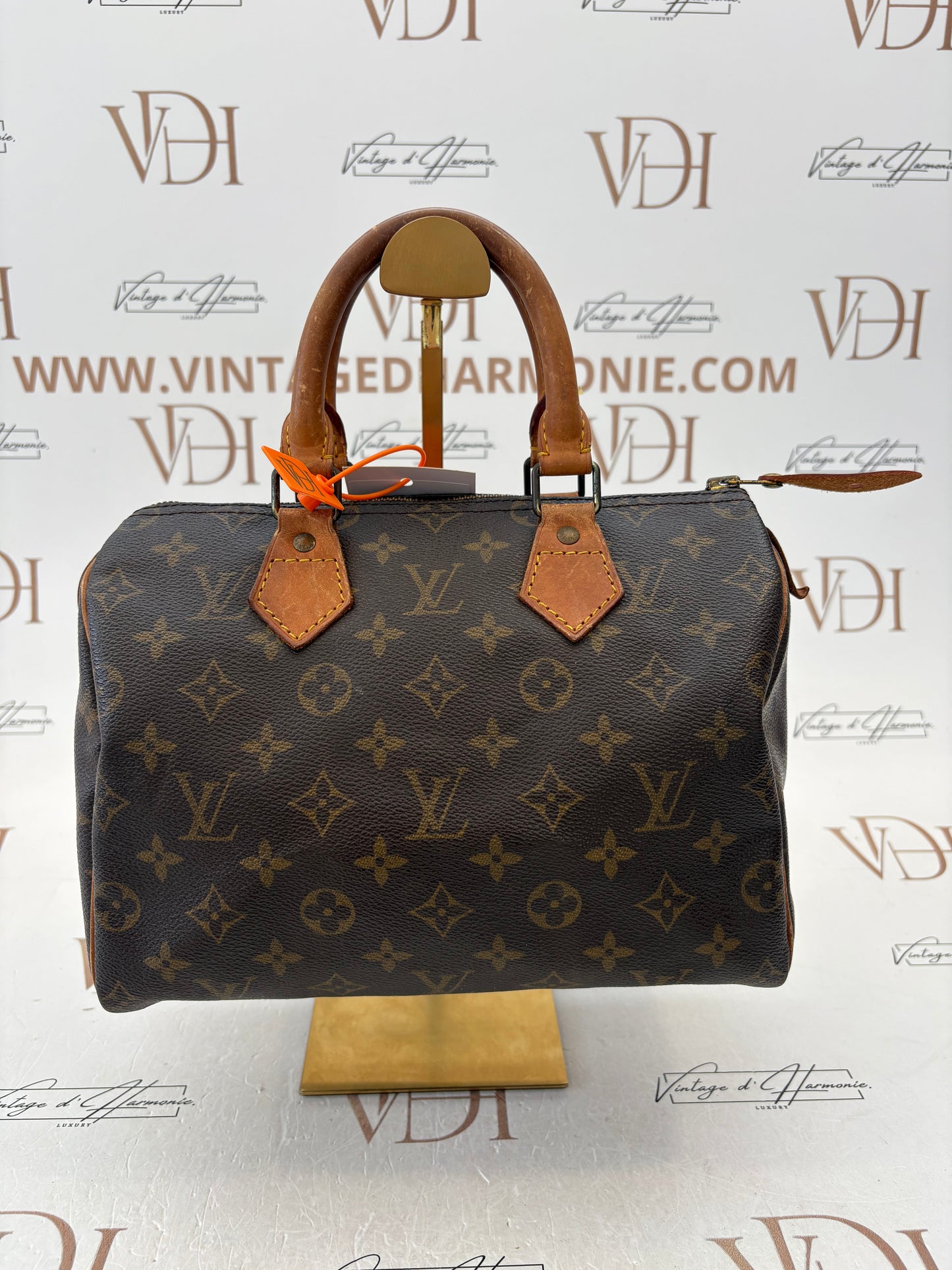 018758 - Louis Vuitton Speedy 25