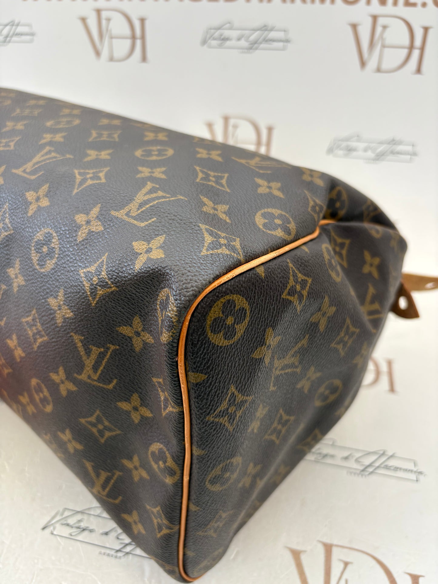 018876 - Louis Vuitton Speedy 40