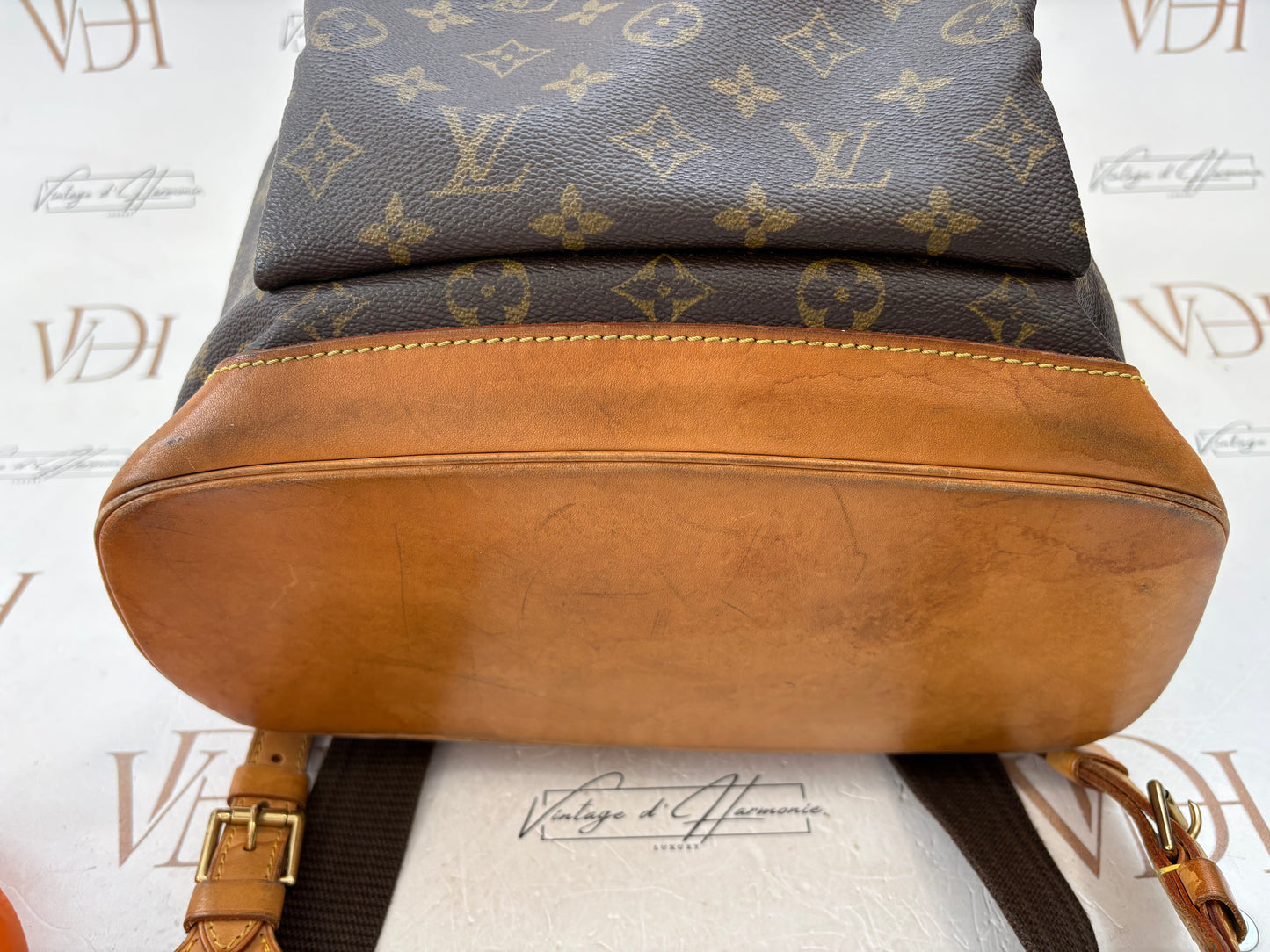 018565 - Louis Vuitton Montsouris GM