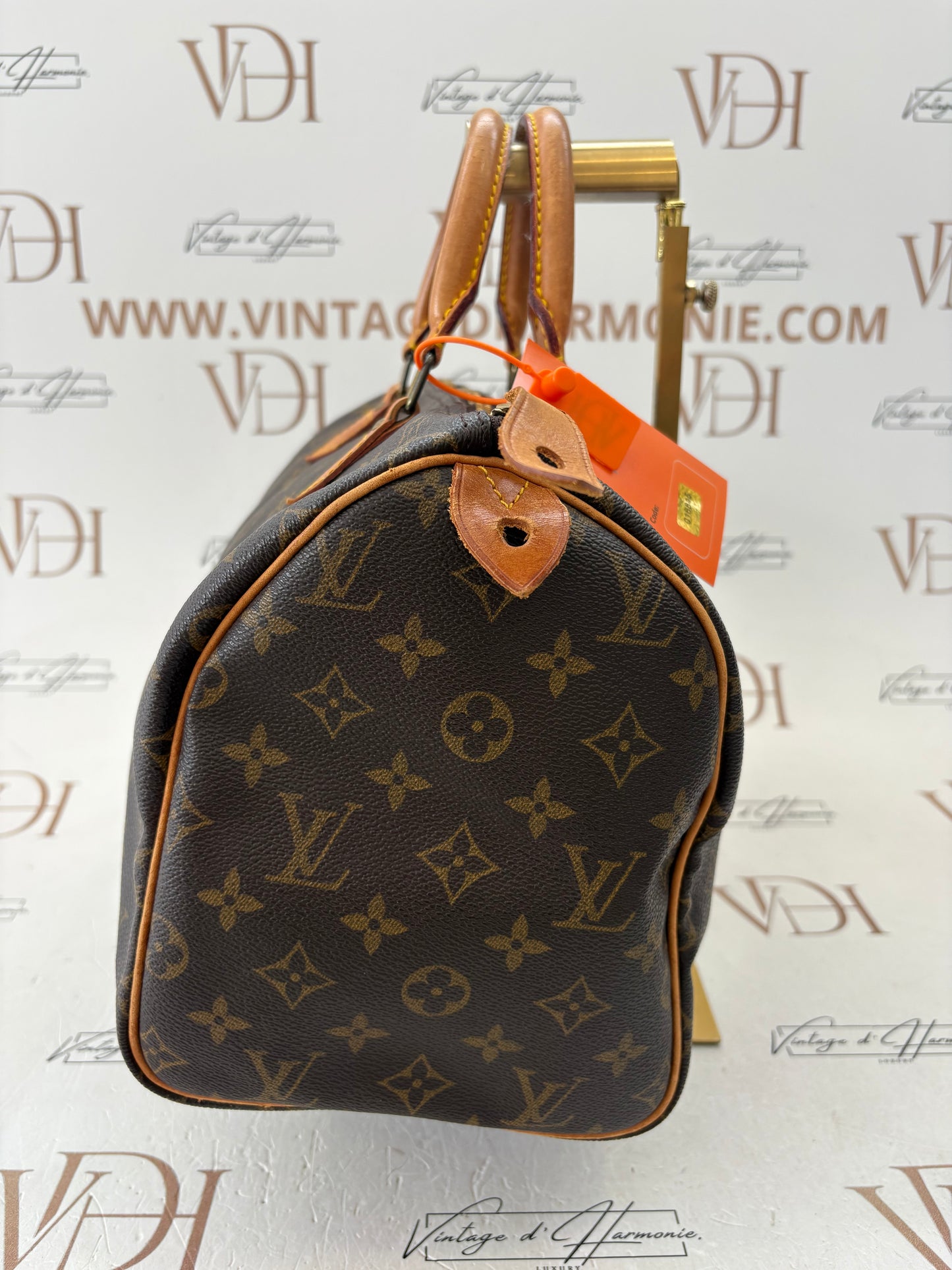 018815 - Louis Vuitton Speedy 30