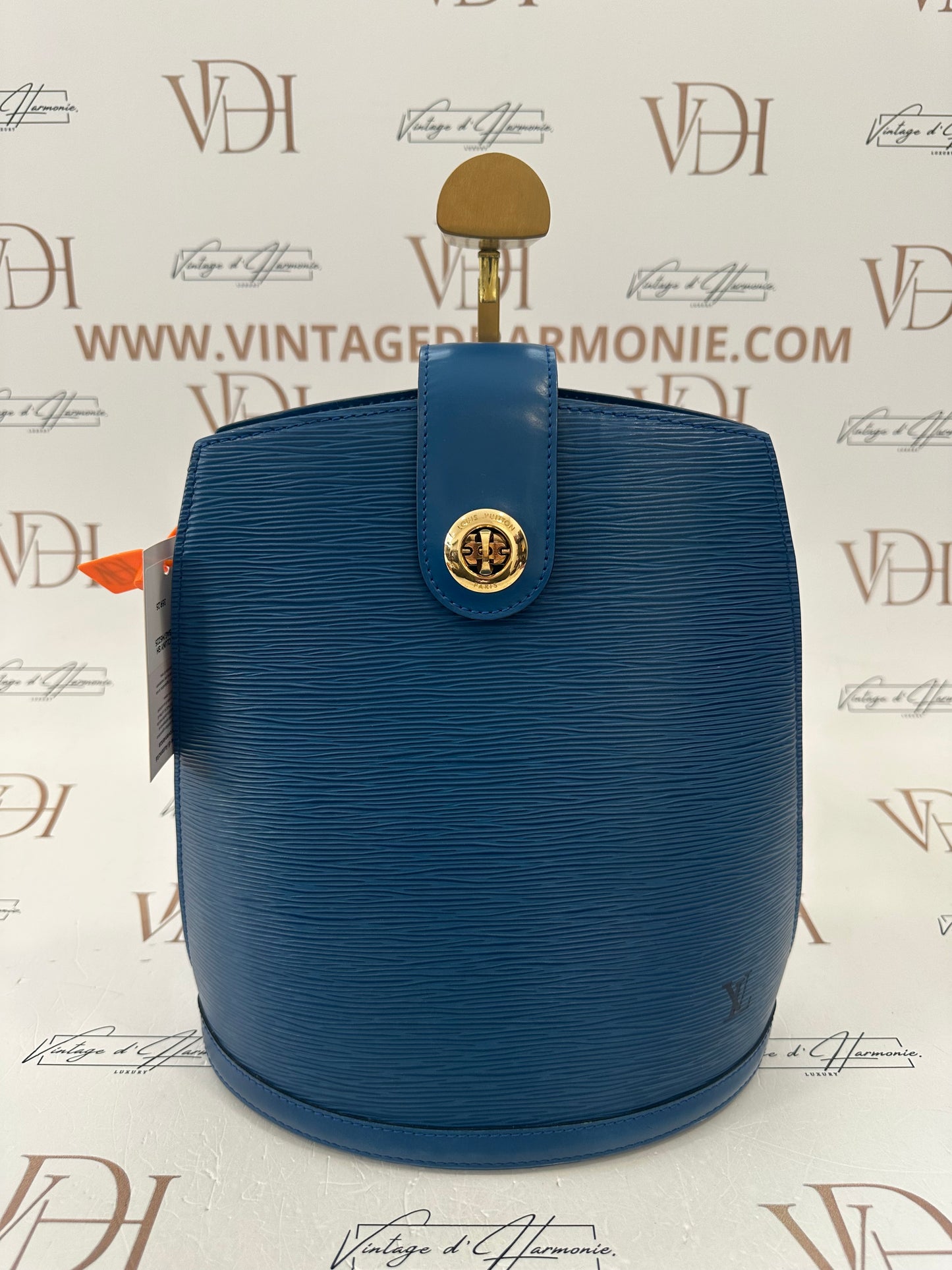 017799 - Louis Vuitton Epi Blue Cluny