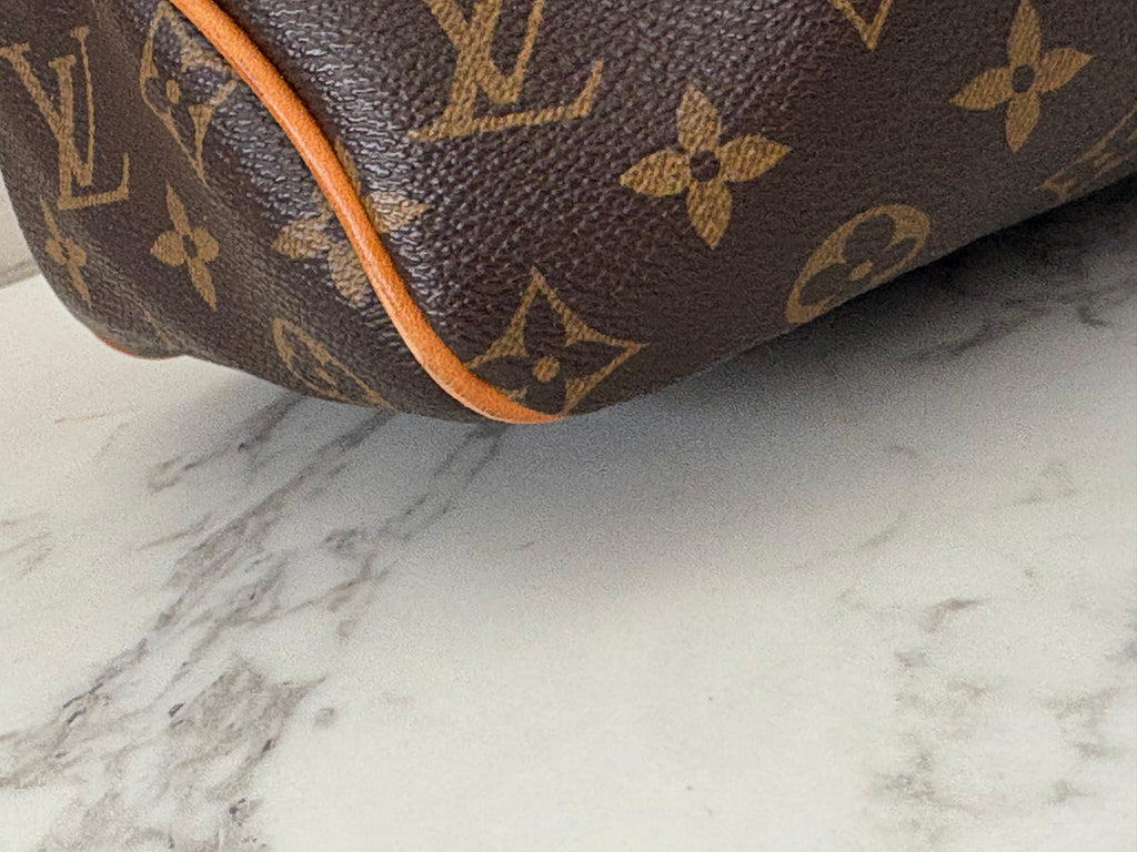 Louis Vuitton DelightFull PM