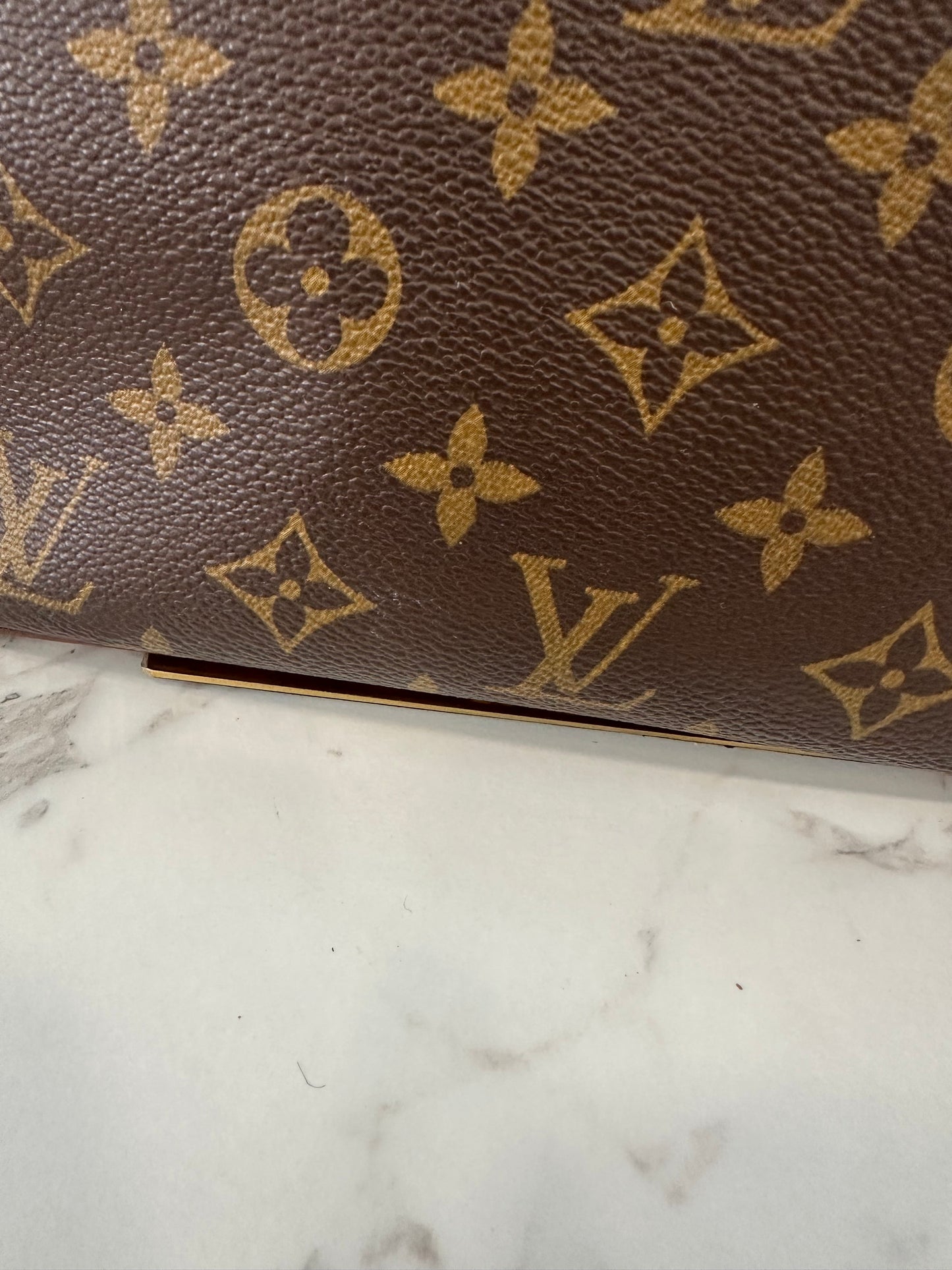 Louis Vuitton Trotteur Crossbody