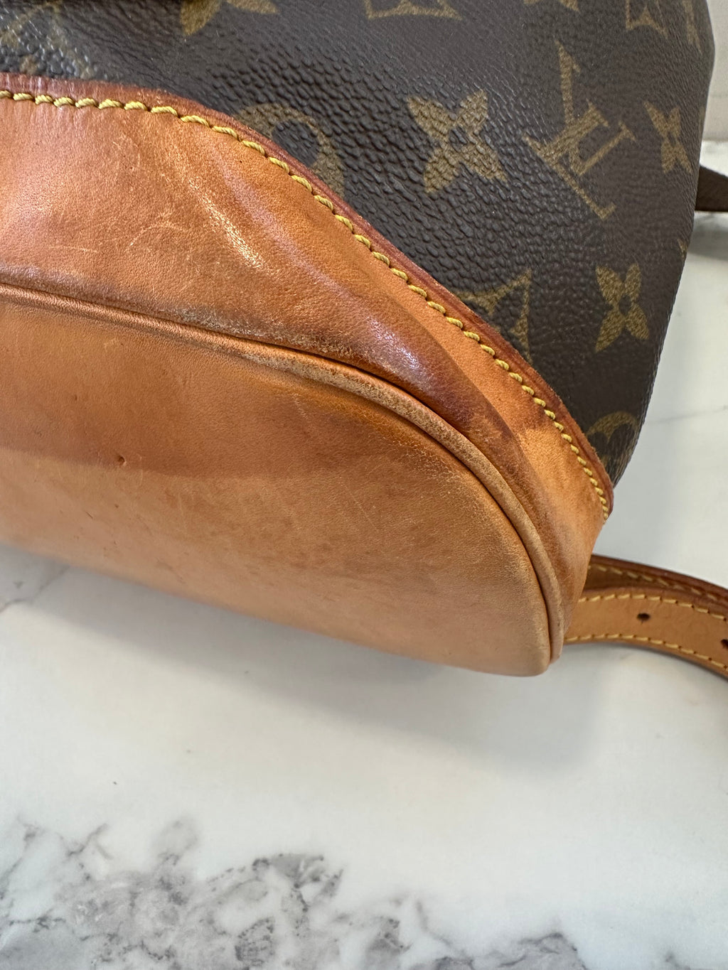 Louis Vuitton Montsouris GM