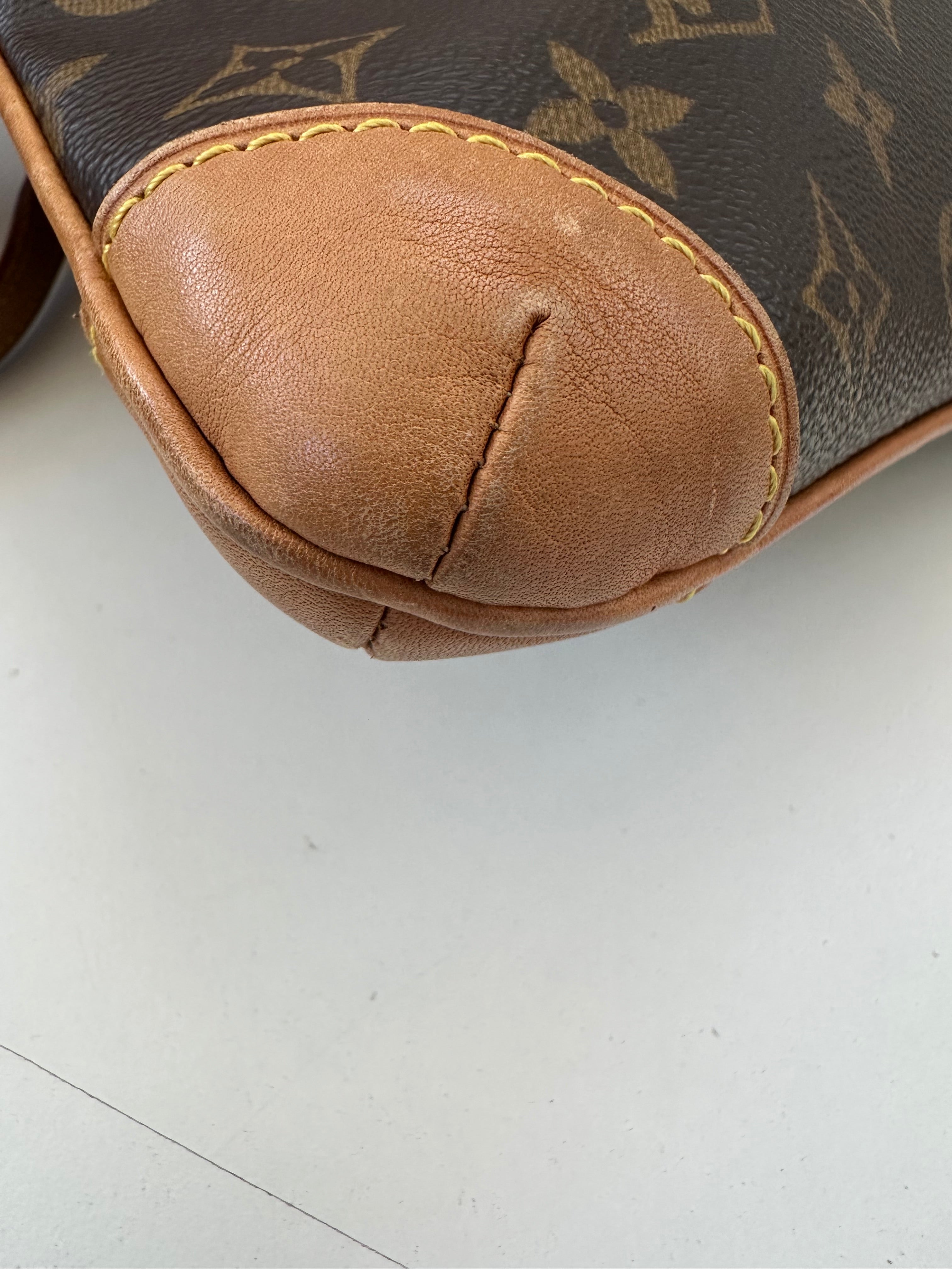 Louis Vuitton Coussin GM