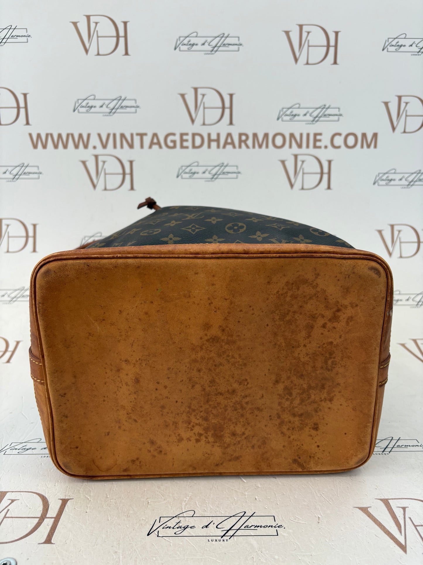 018290 - Louis Vuitton Noé