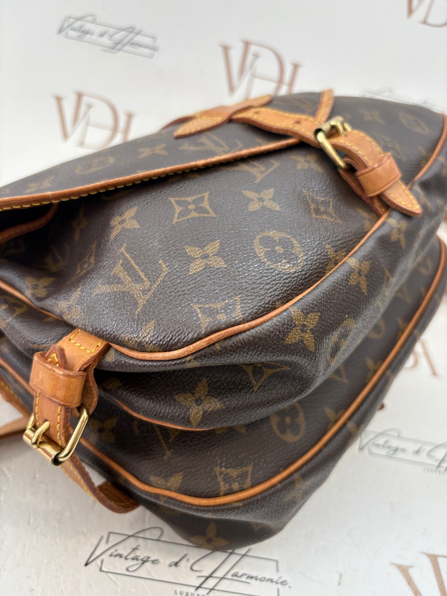 018283 - Louis Vuitton Saumur 30