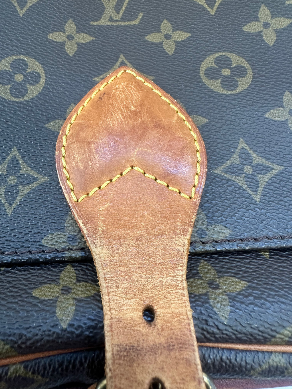Louis Vuitton Cartouchiere MM