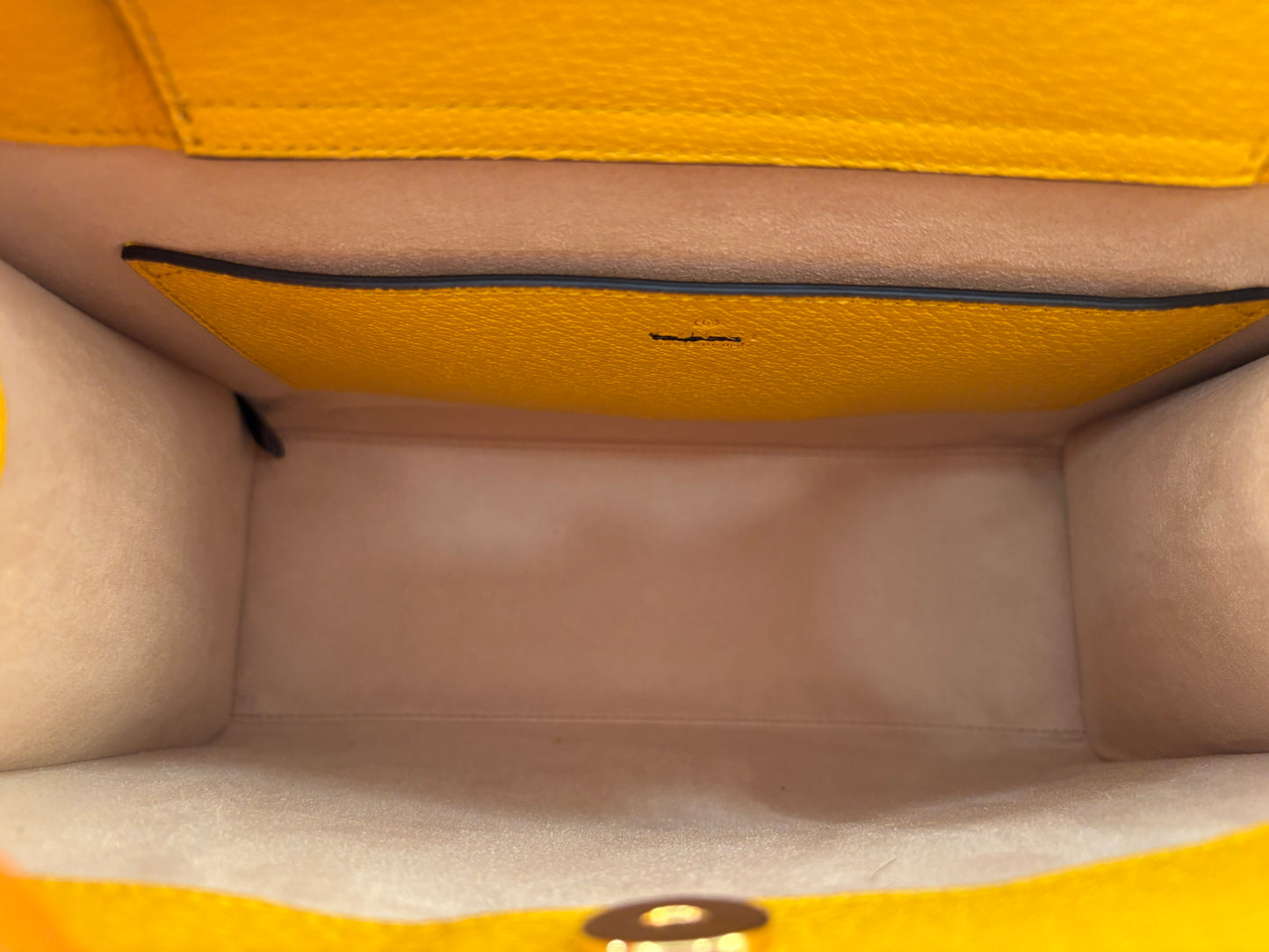 383585 - Gucci Diana