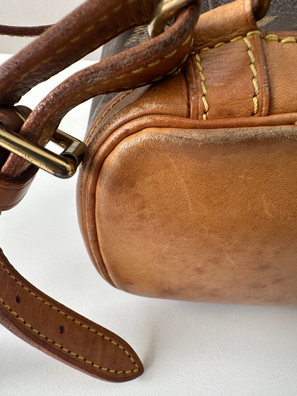 Louis Vuitton Montsouris Mini