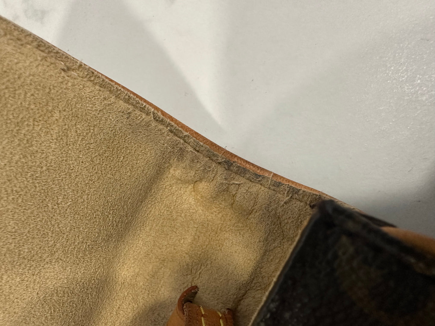Louis Vuitton Pochette Twin GM