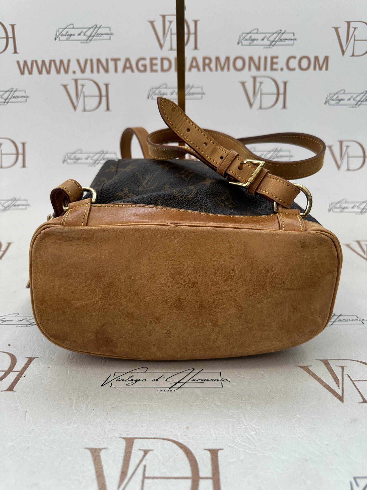 018721 - Louis Vuitton Montsouris MM