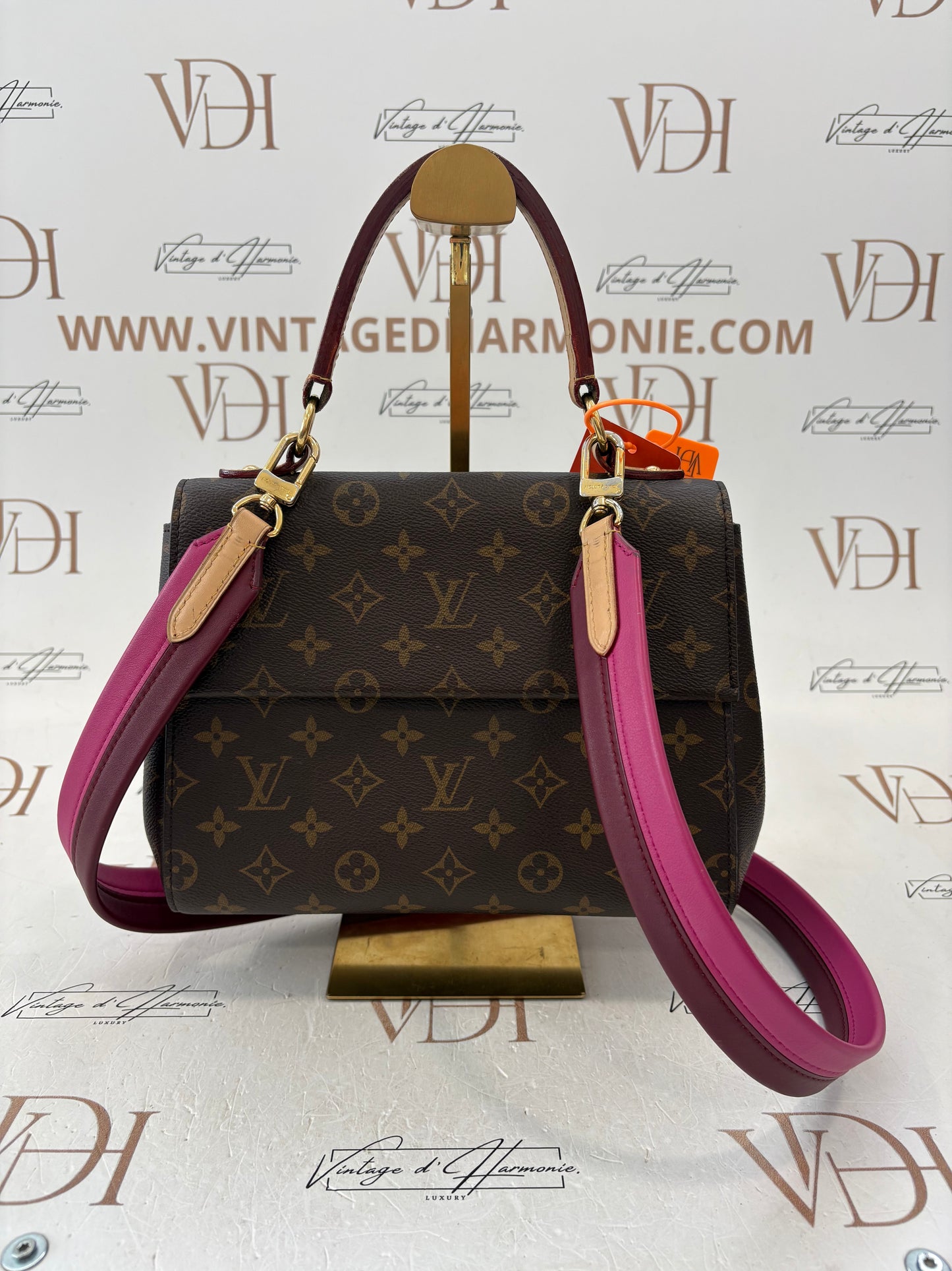 200978 - Louis Vuitton Cluny