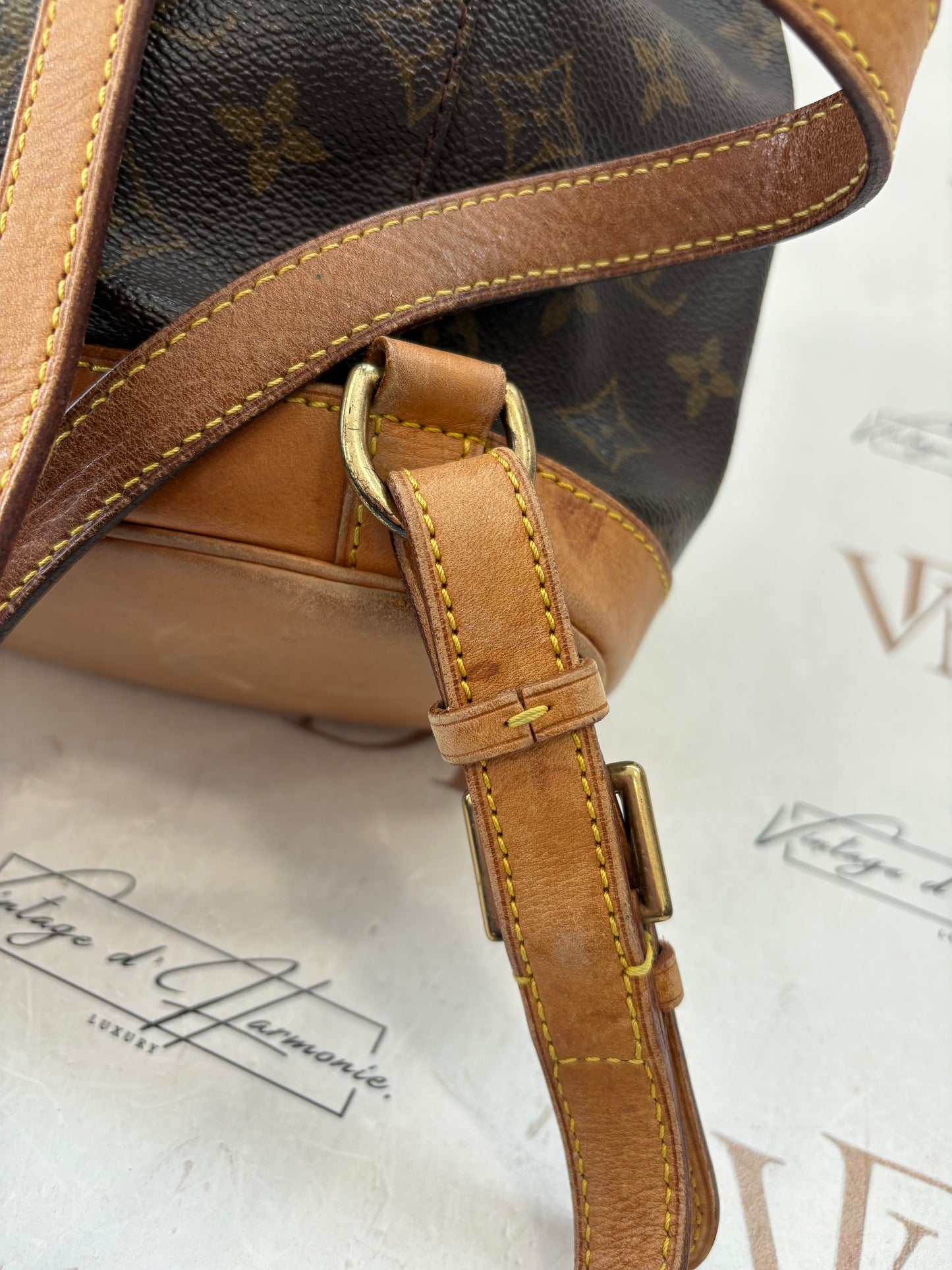 018879 - Louis Vuitton Montsouris MM