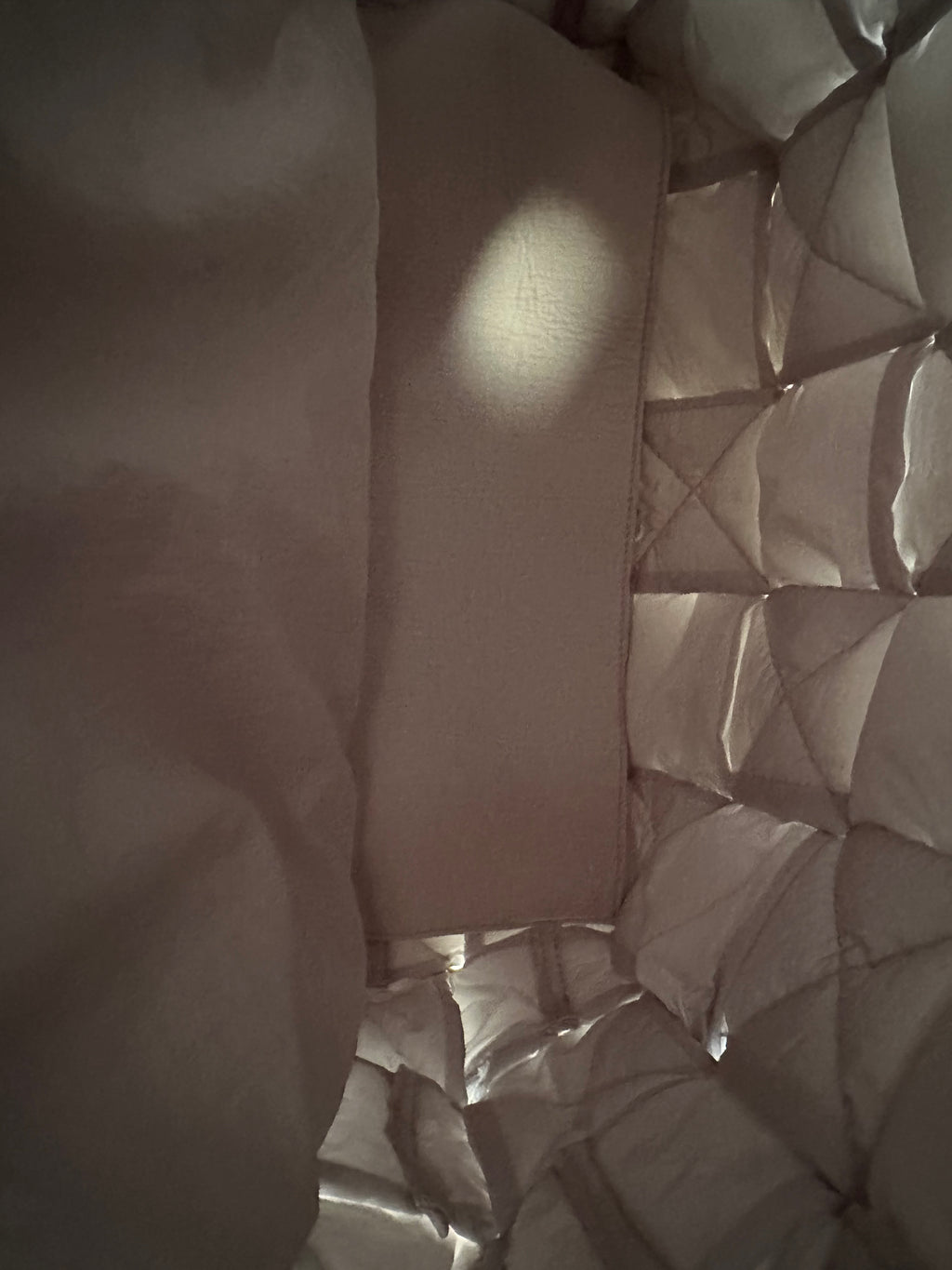 Bottega Veneta Gray Nylon