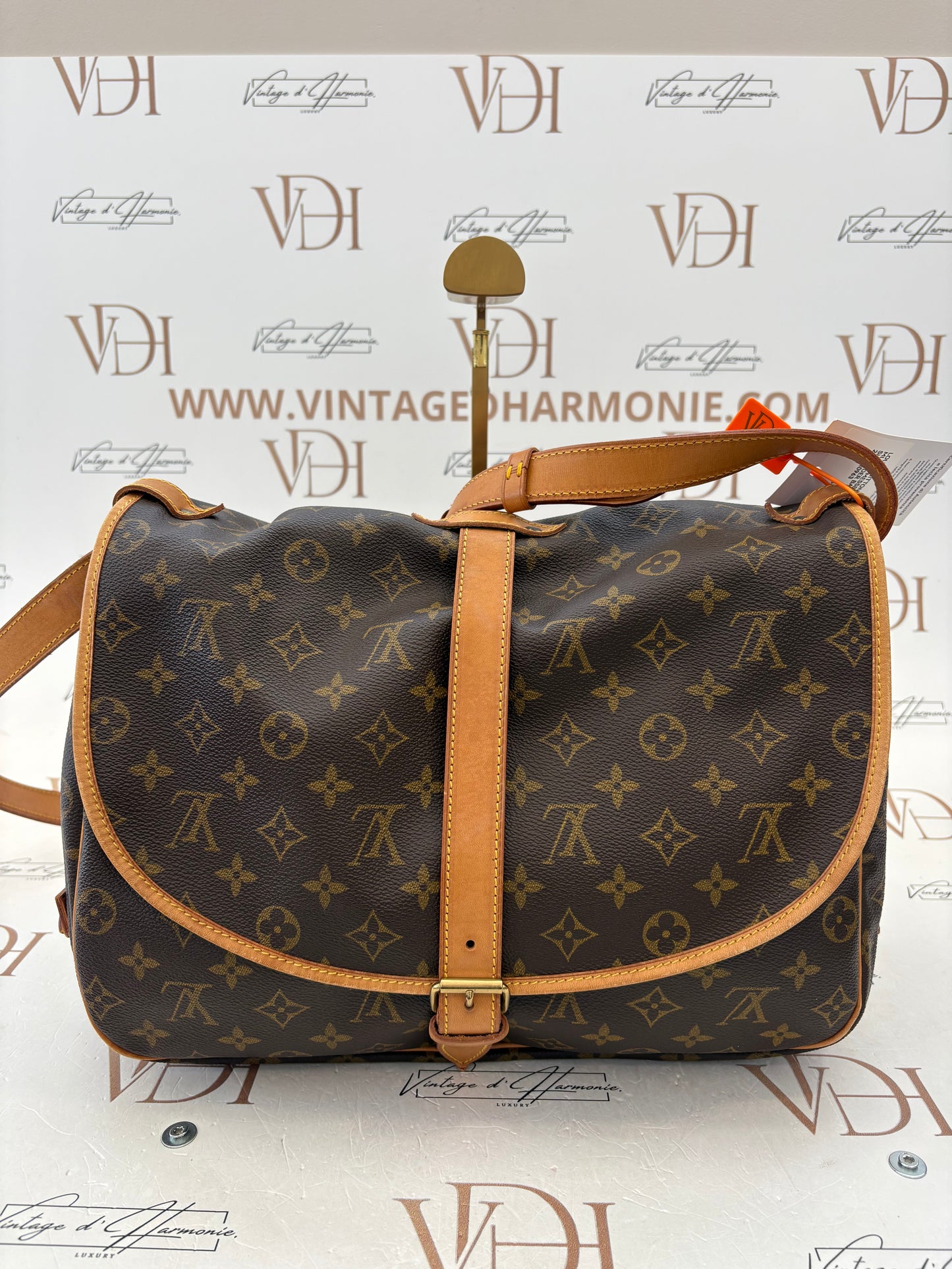 016919 - Louis Vuitton Saumur 35