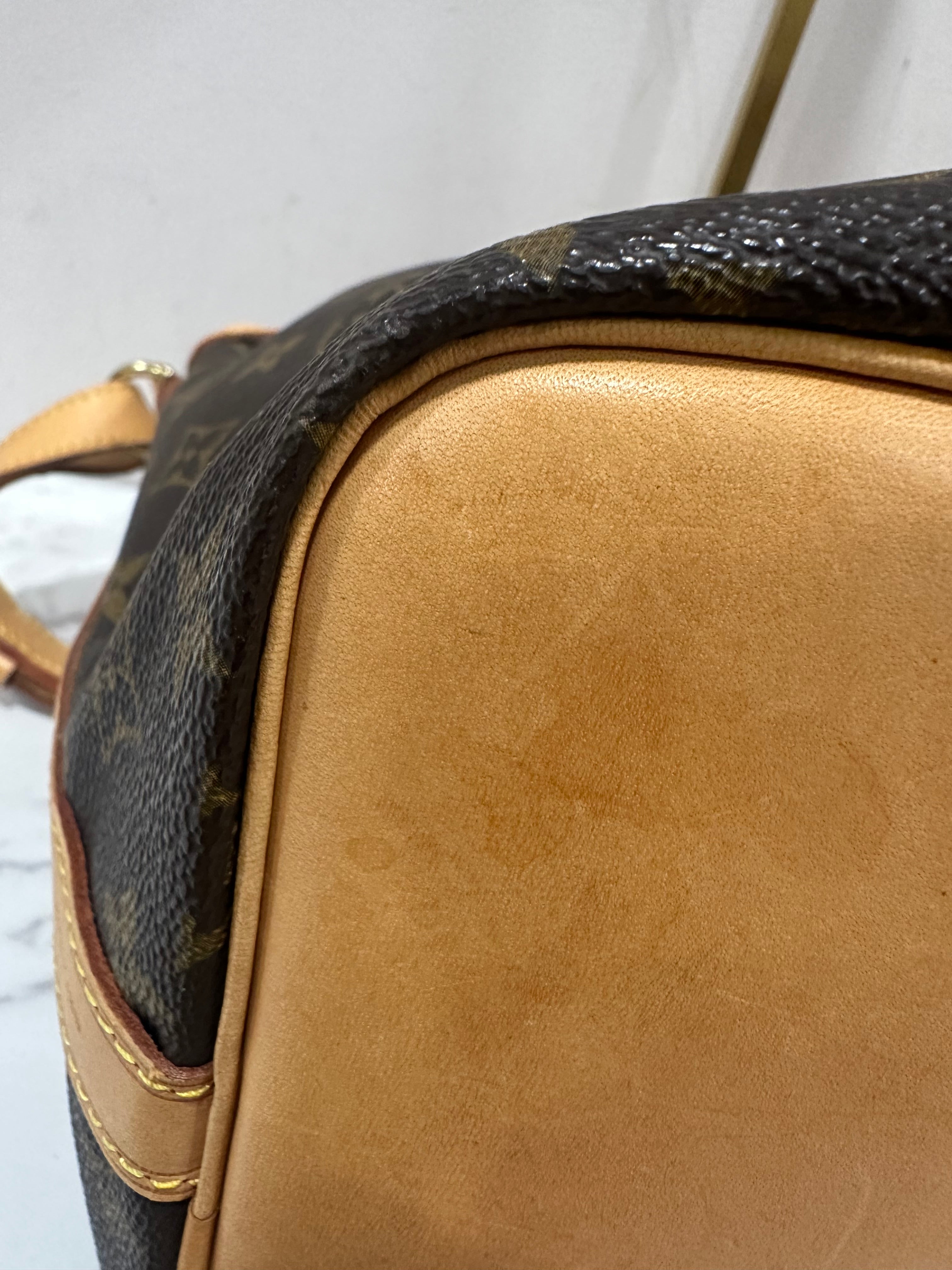 Louis Vuitton Petite Noé