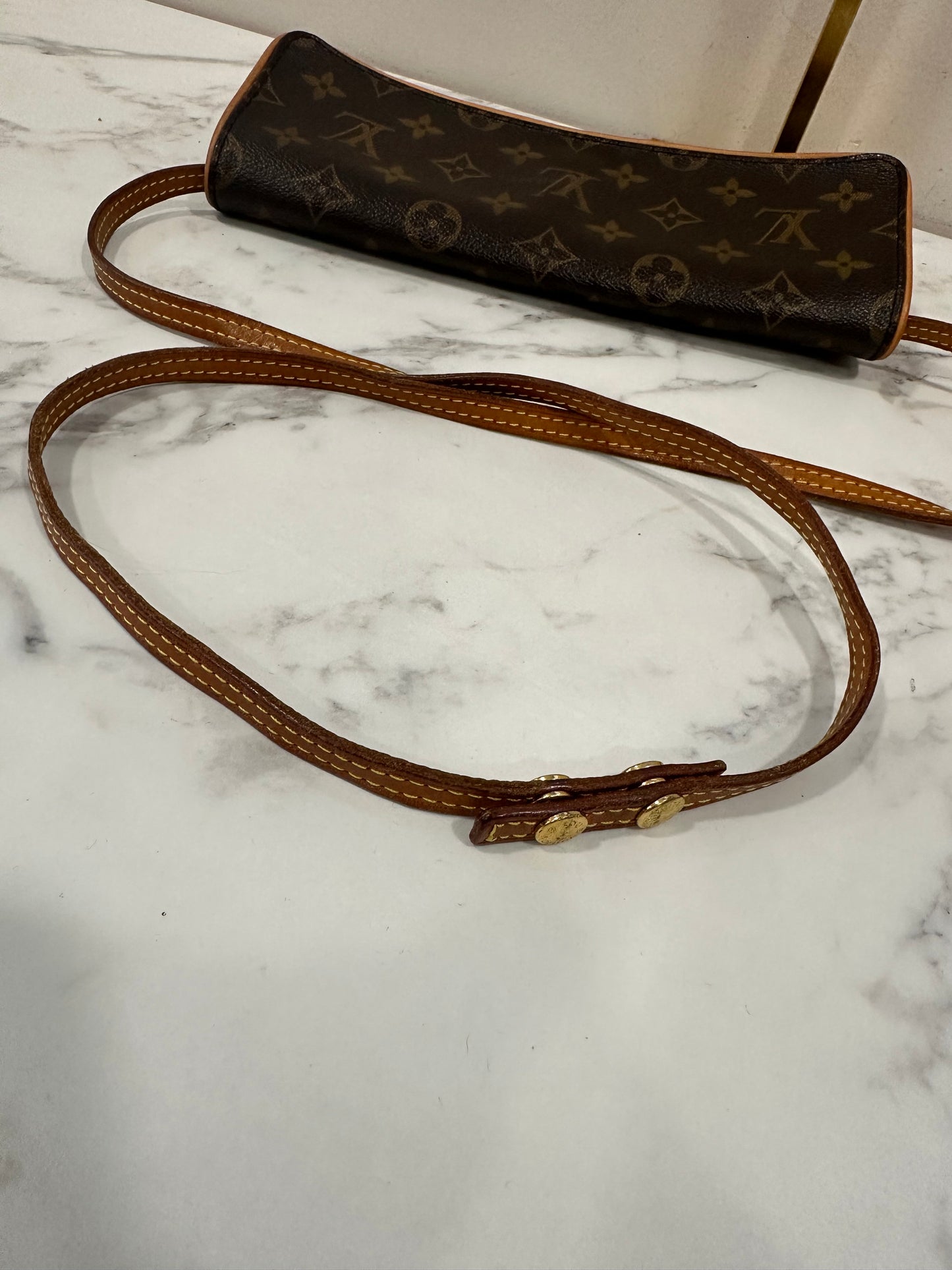 Louis Vuitton Pochette Twin GM