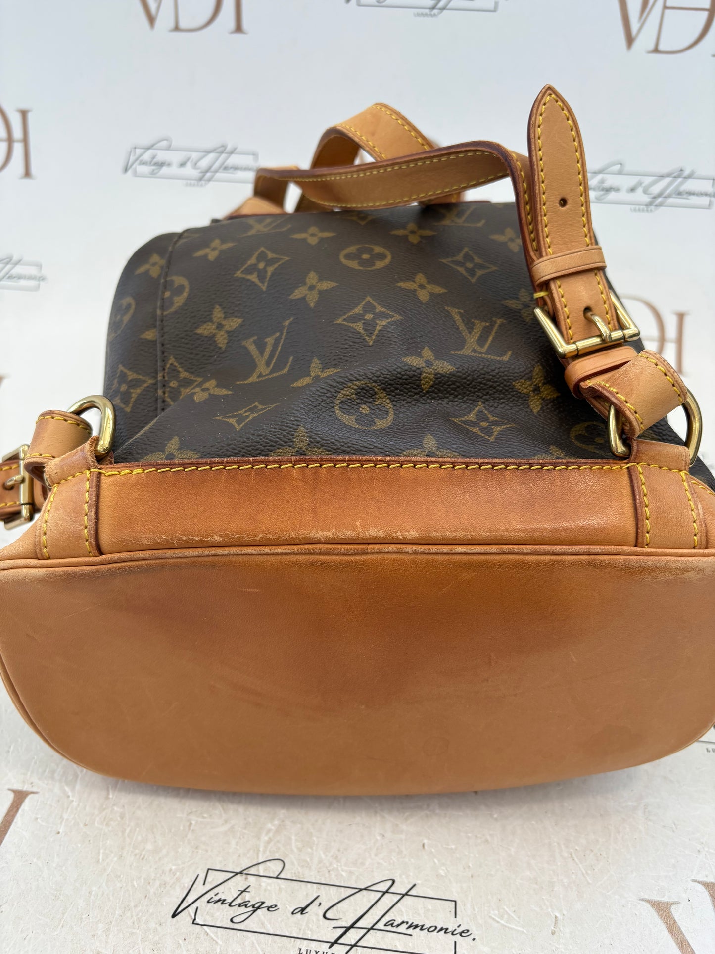 017177 - Louis Vuitton Montsouris MM