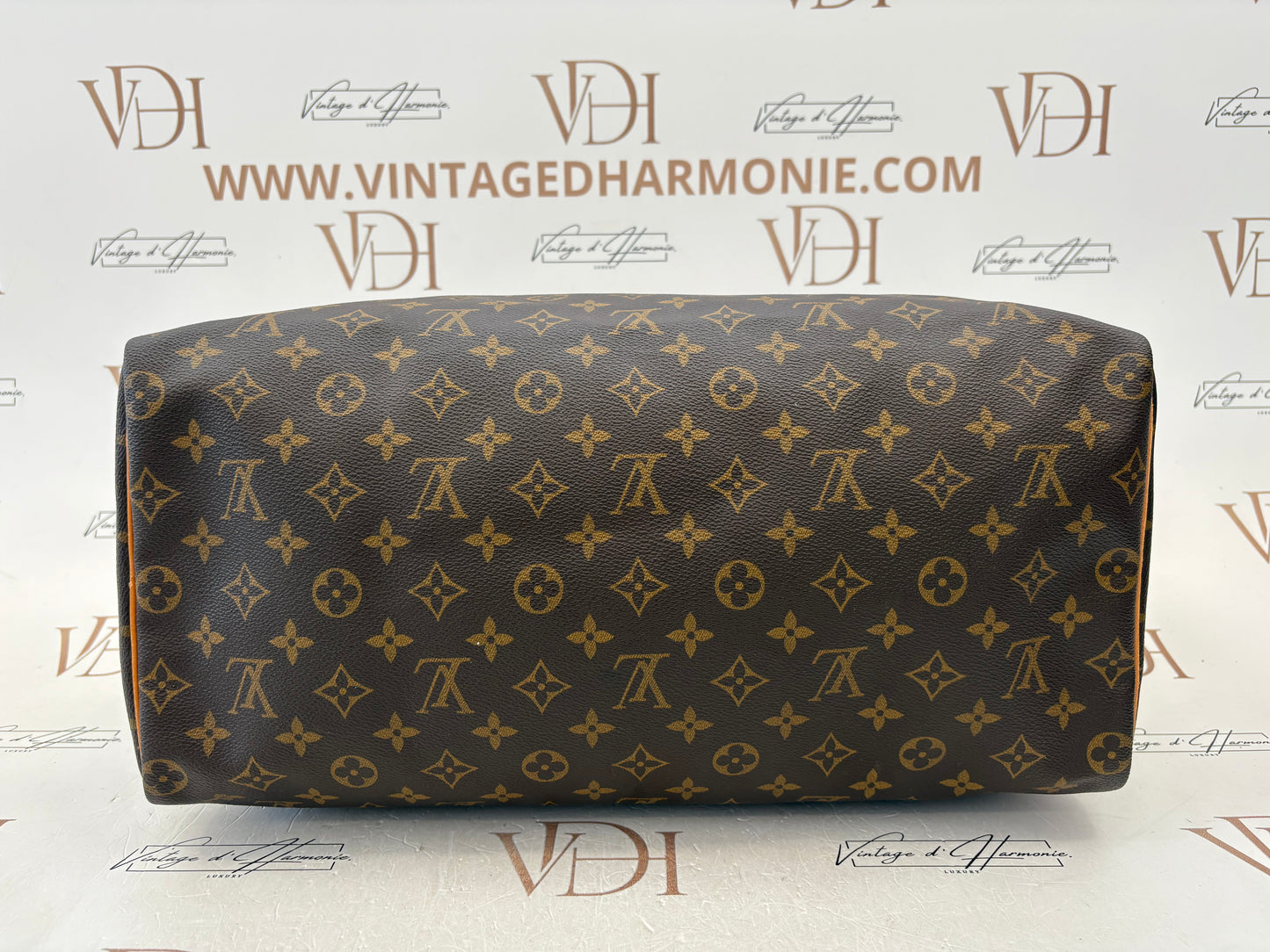 018876 - Louis Vuitton Speedy 40