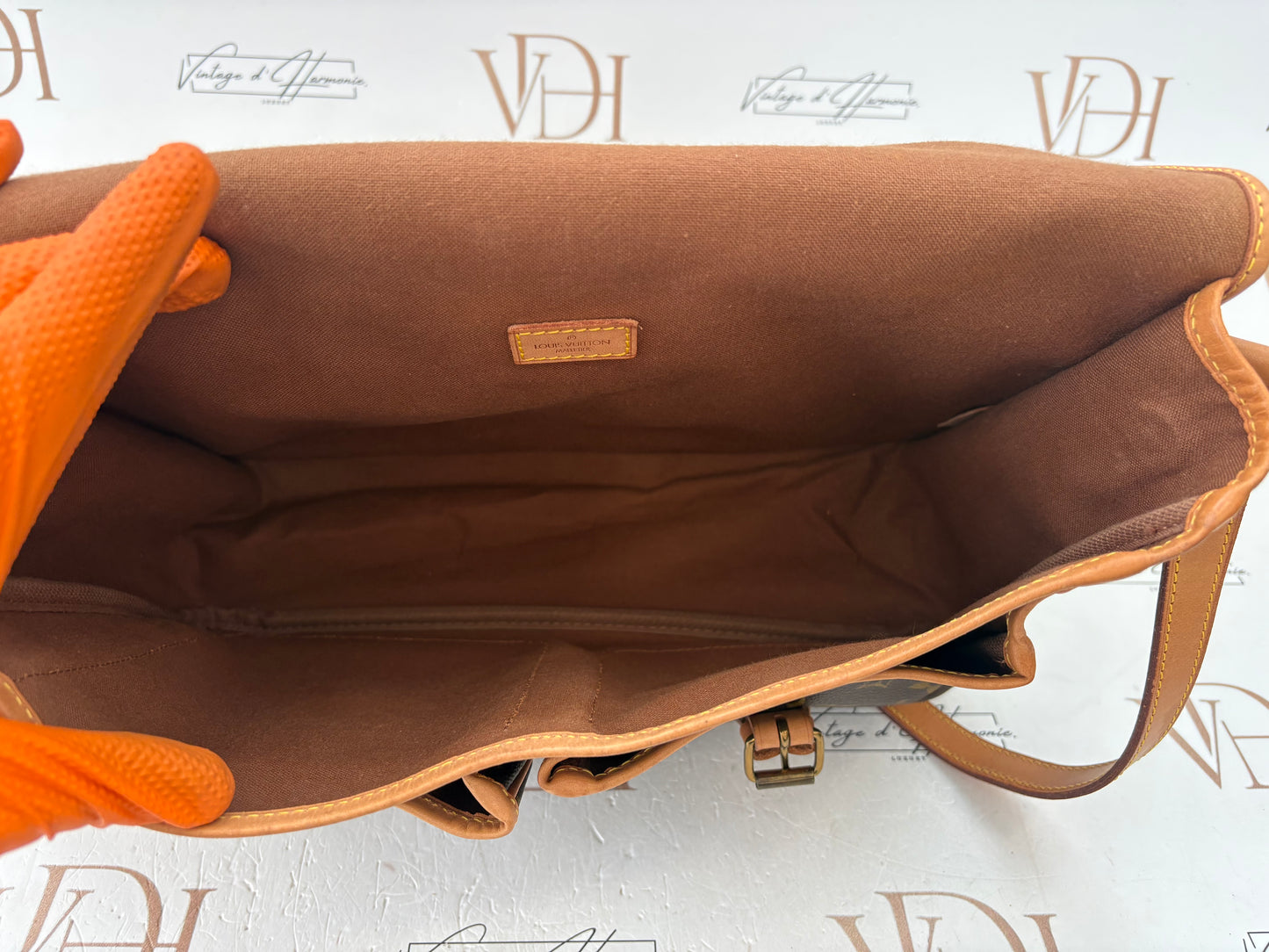018966 - Louis Vuitton Gibeciere