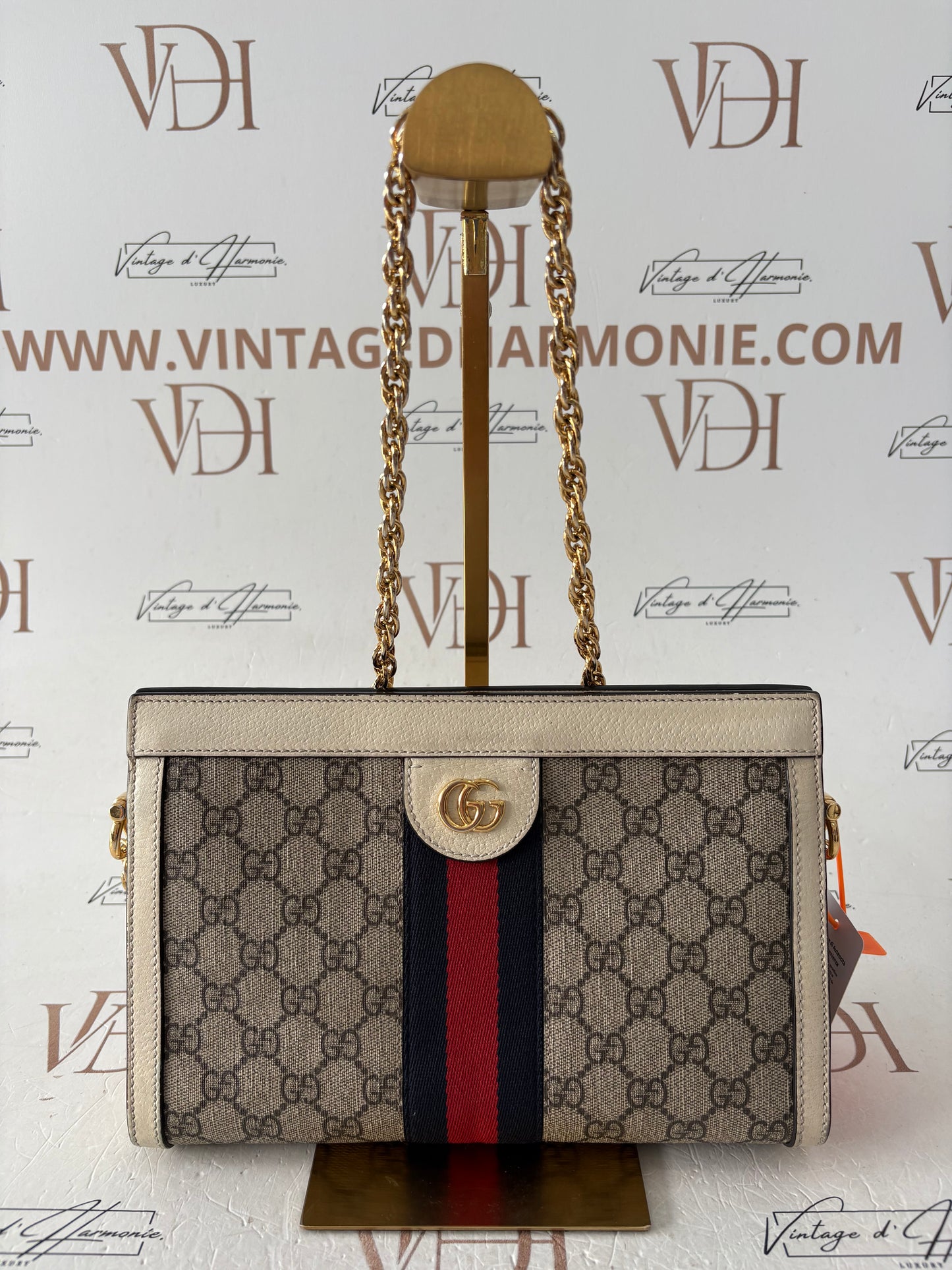 201129 - Gucci Ophidia