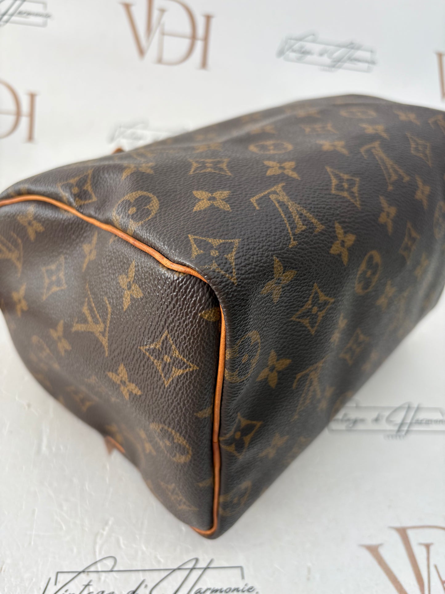 018834 - Louis Vuitton Speedy 25