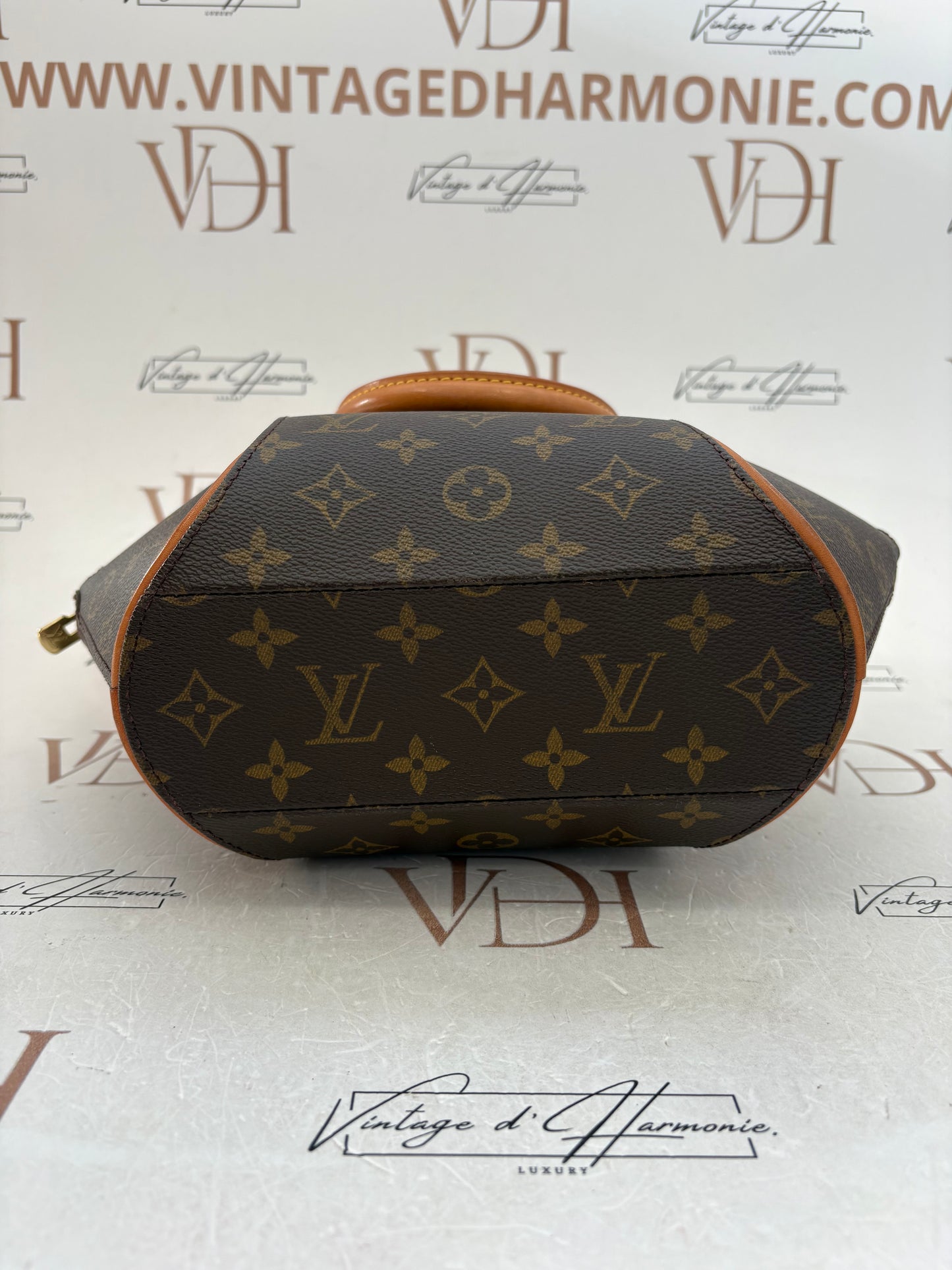 018890 - Louis Vuitton Ellipse PM