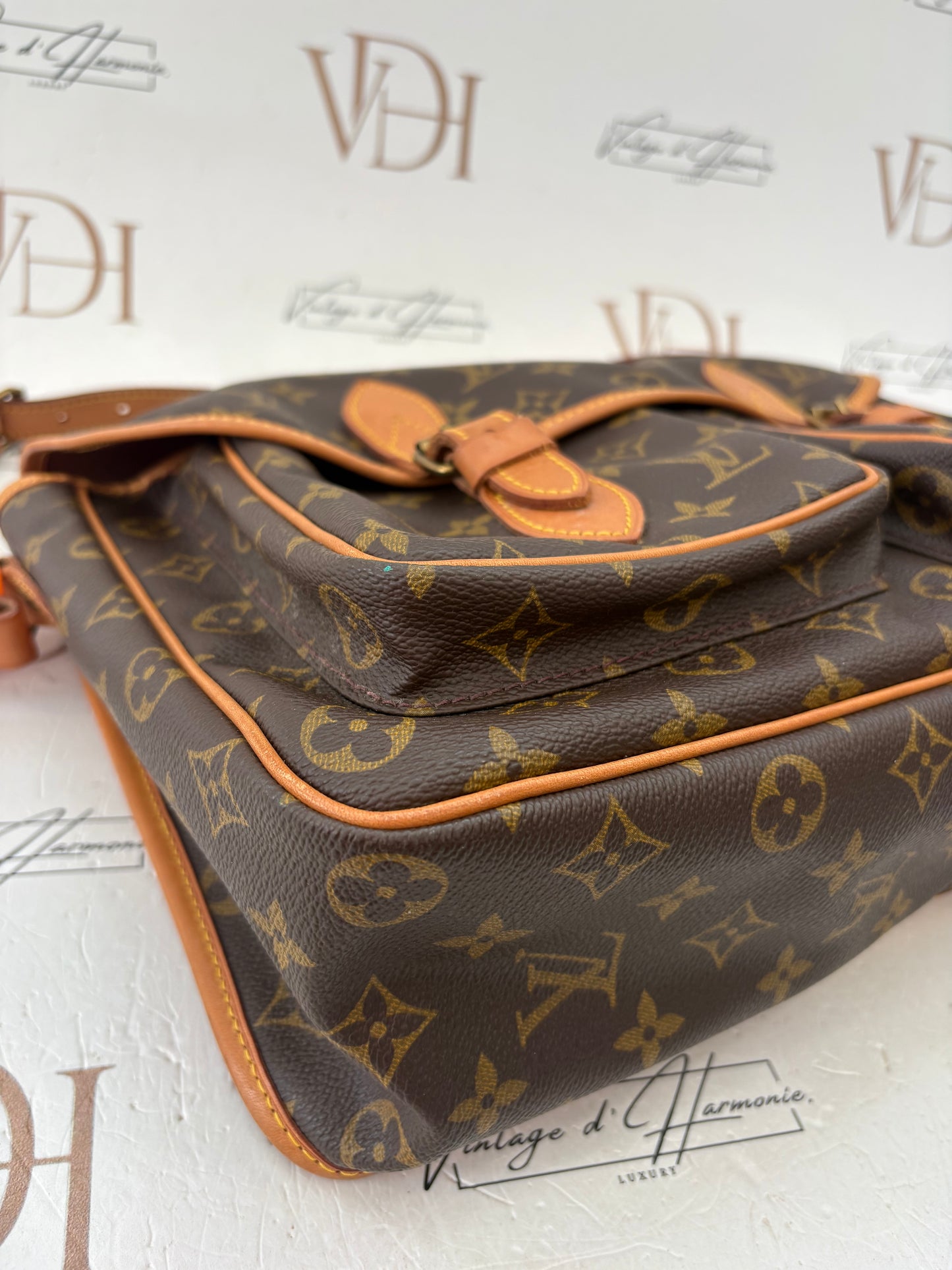 018966 - Louis Vuitton Gibeciere
