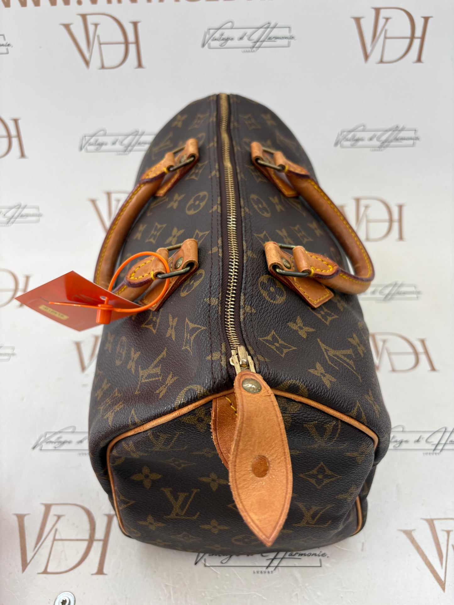 018815 - Louis Vuitton Speedy 30